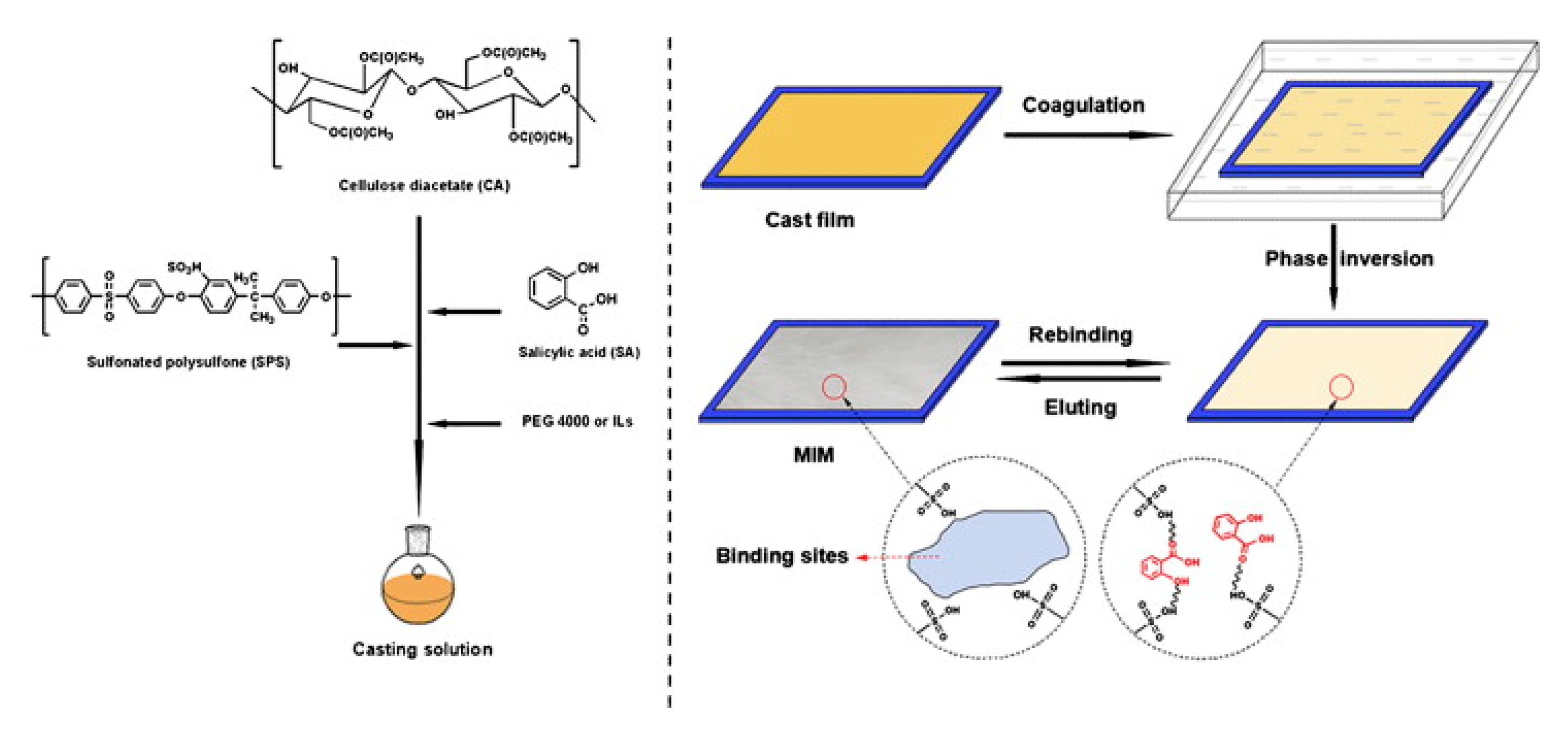 Separations 07 00069 g003 Separations 07 00069 g003