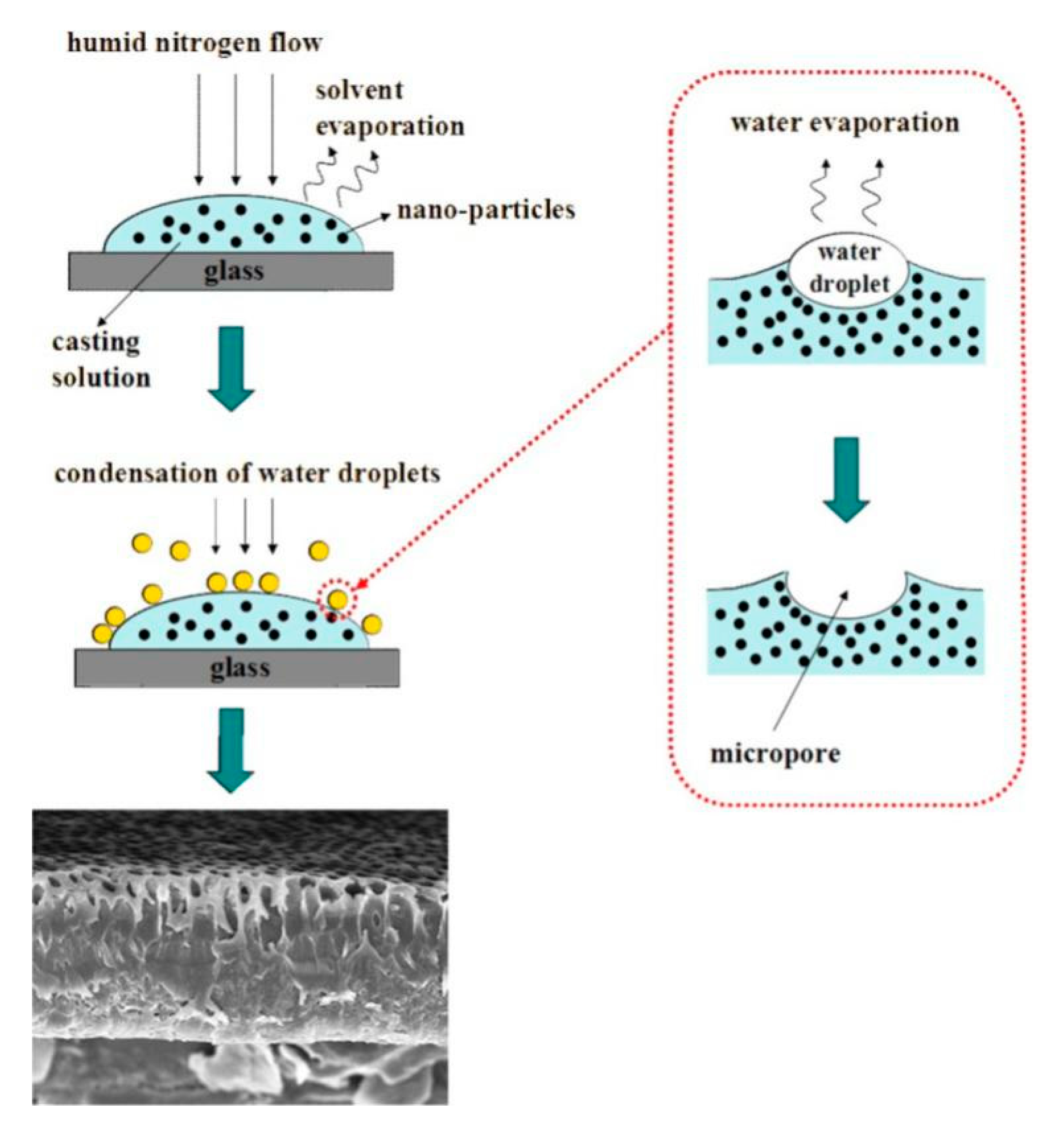 Separations 07 00069 g015 Separations 07 00069 g015