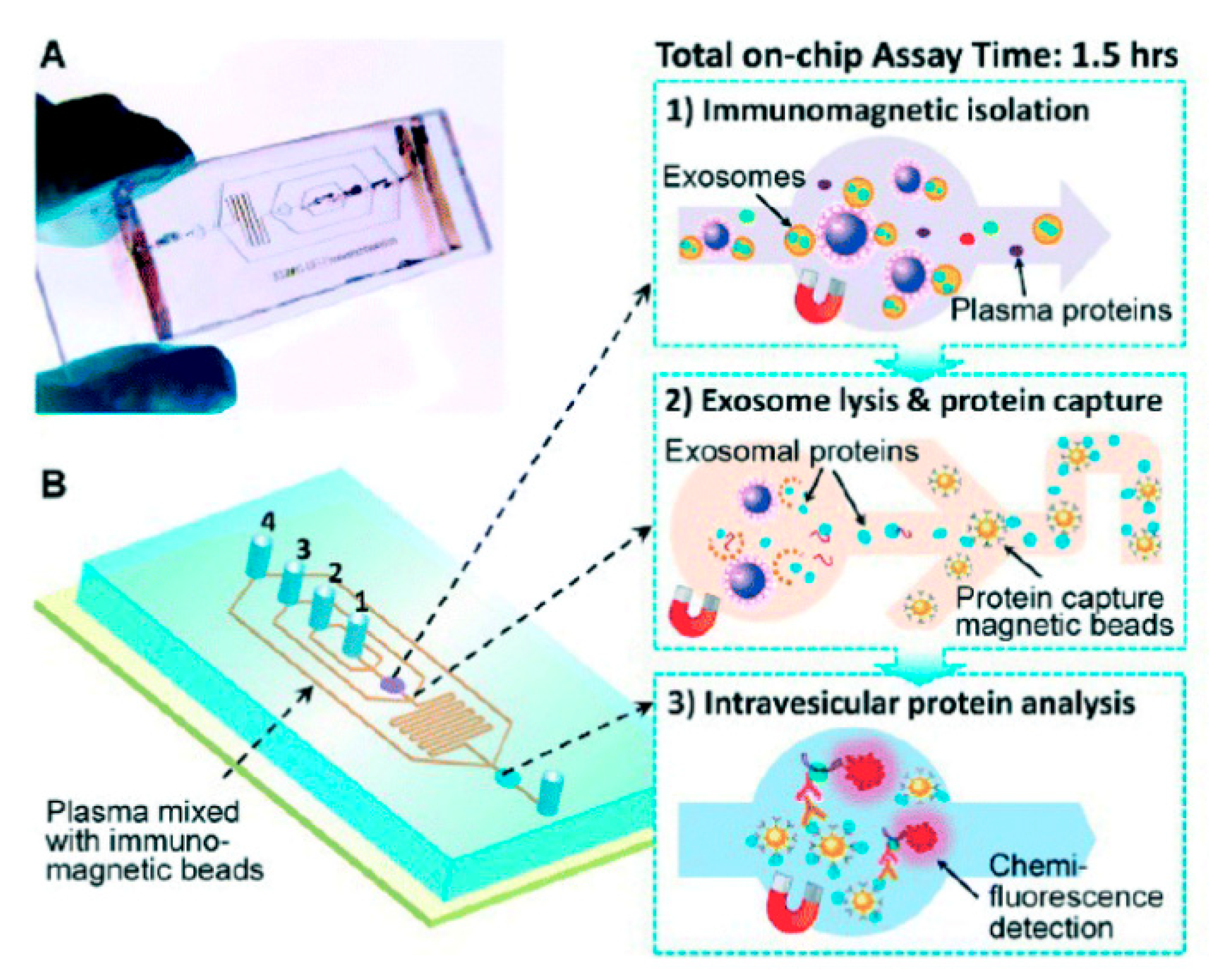 Separations 08 00003 g004 Separations 08 00003 g004