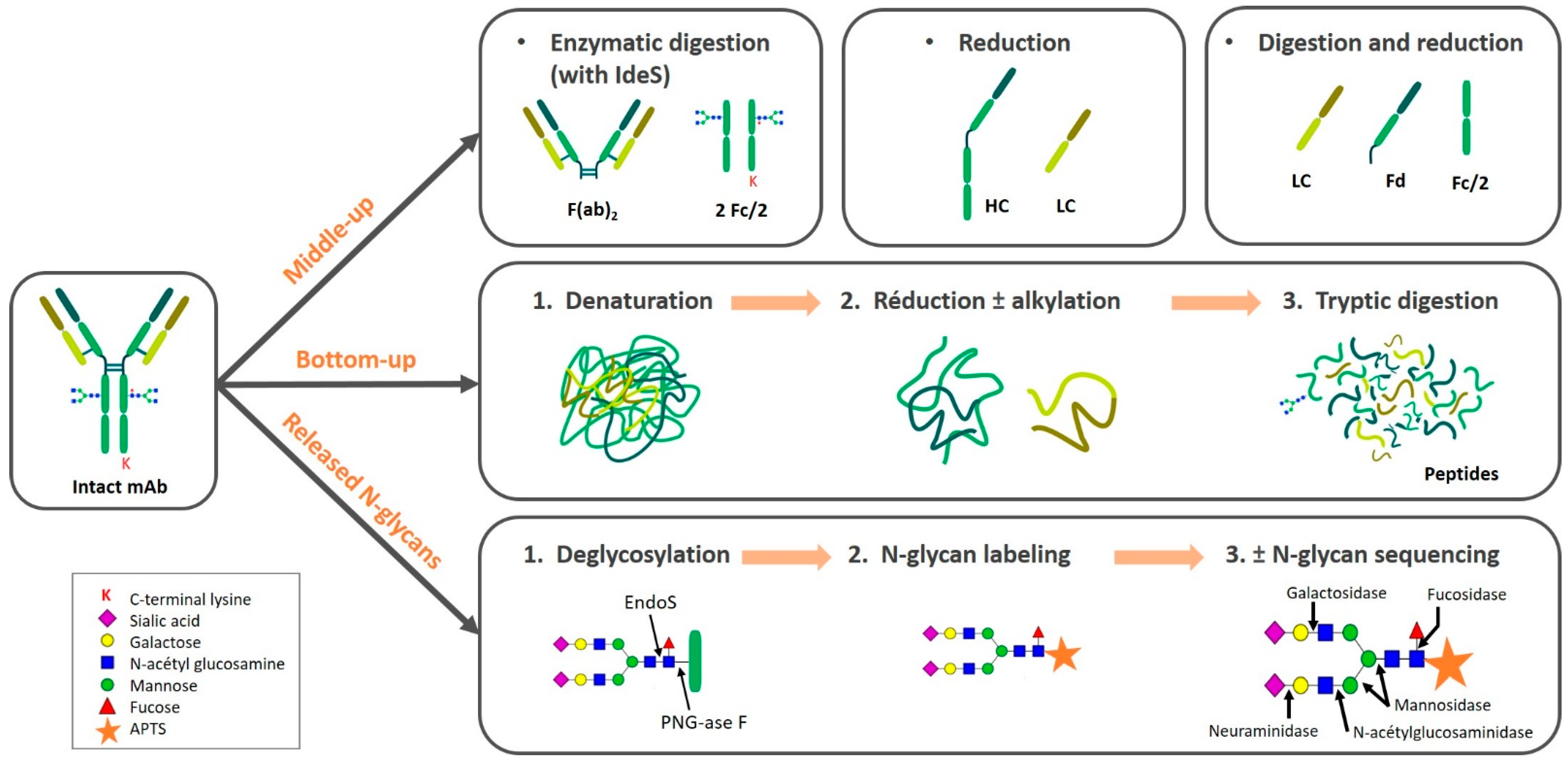 Separations 08 00004 g002 Separations 08 00004 g002
