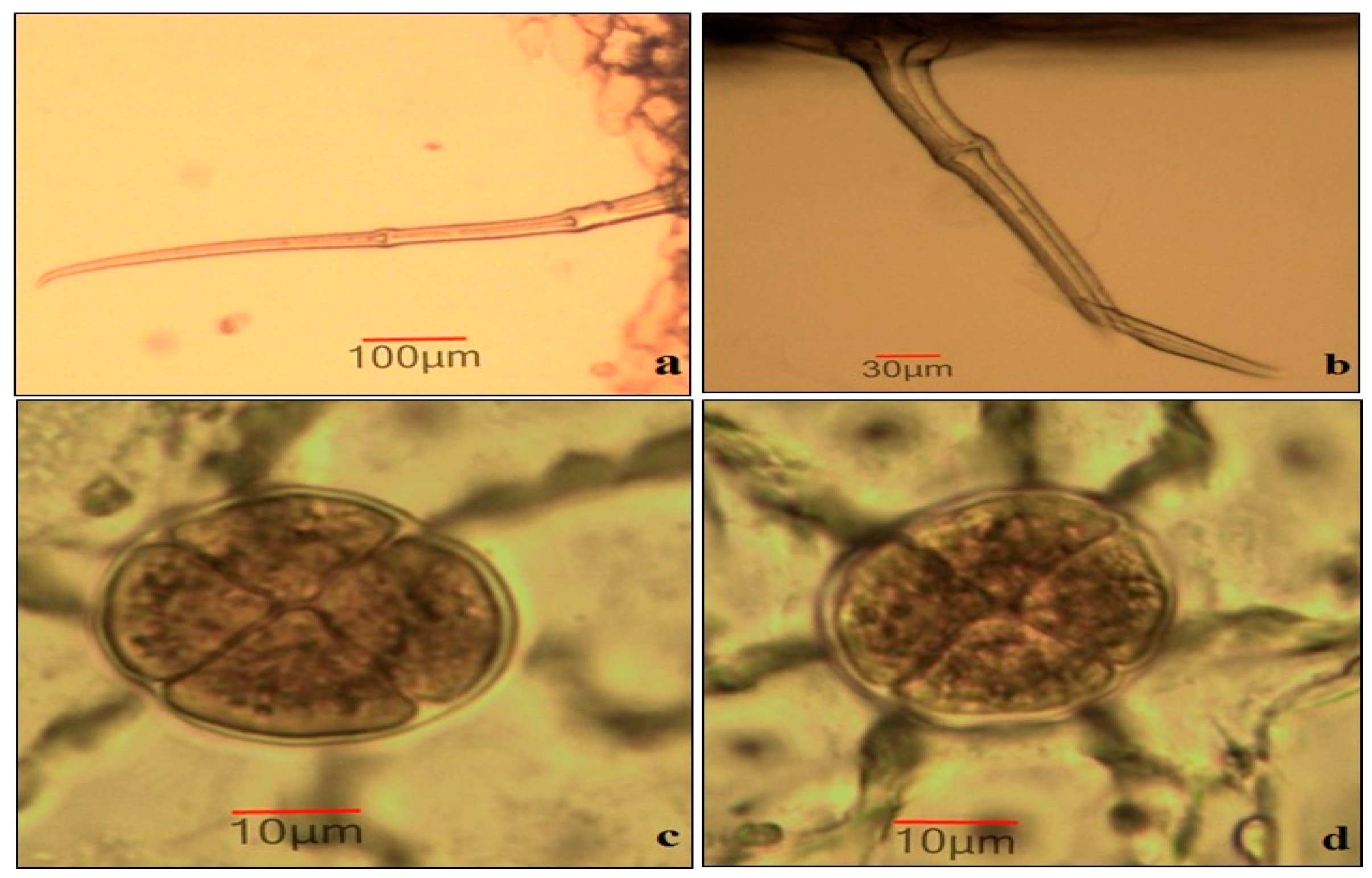 Separations 08 00011 g001 Separations 08 00011 g001