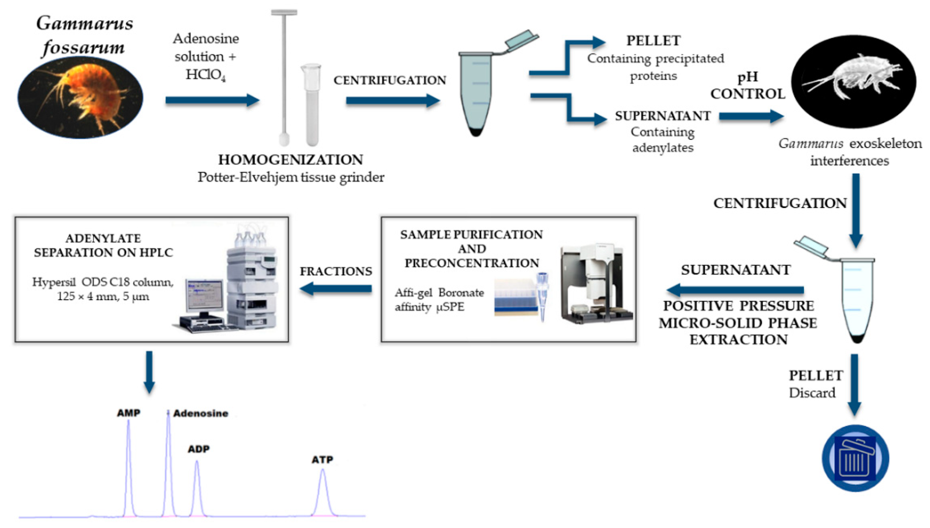 Separations 08 00020 g001 Separations 08 00020 g001