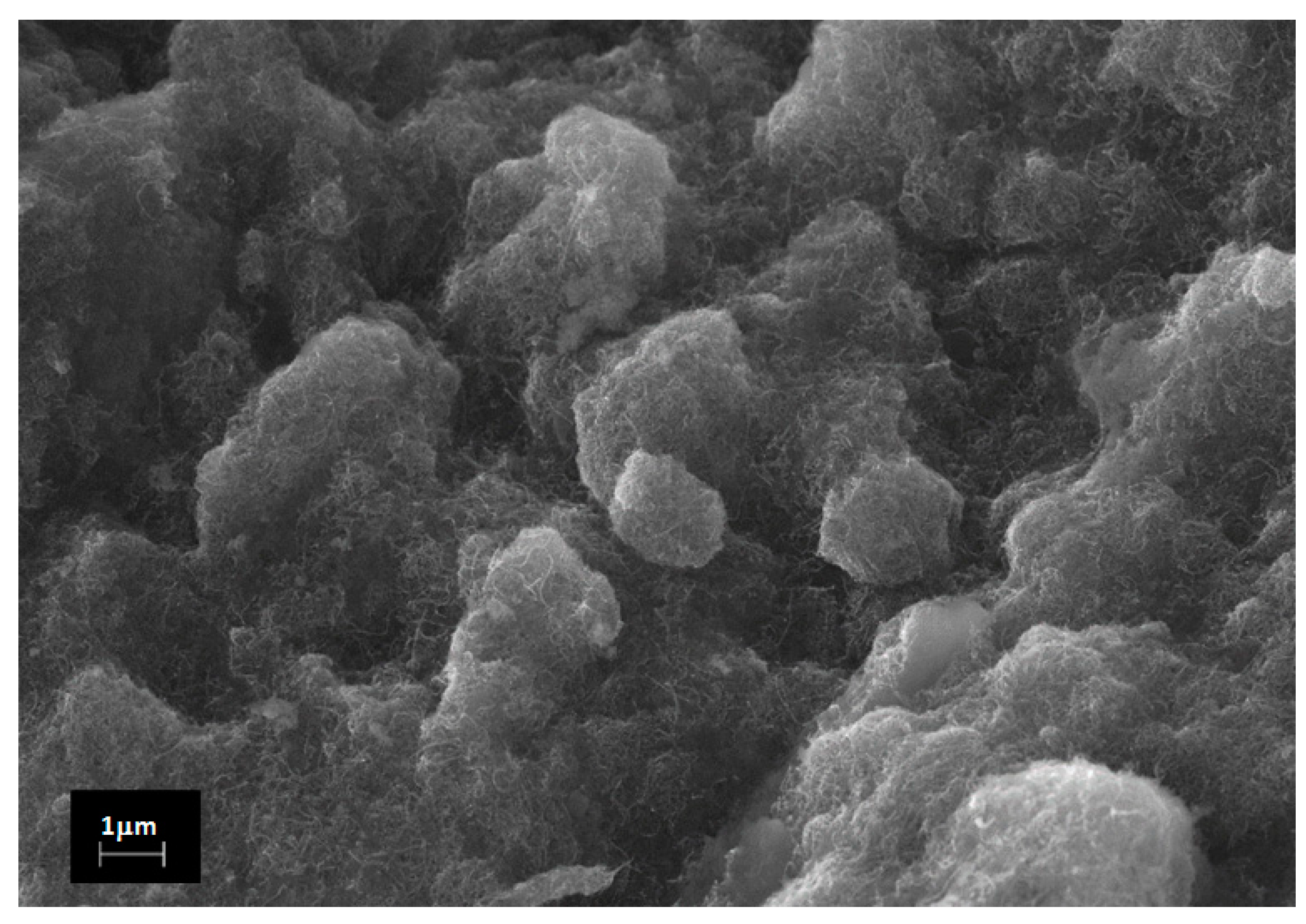 Separations 08 00050 g001