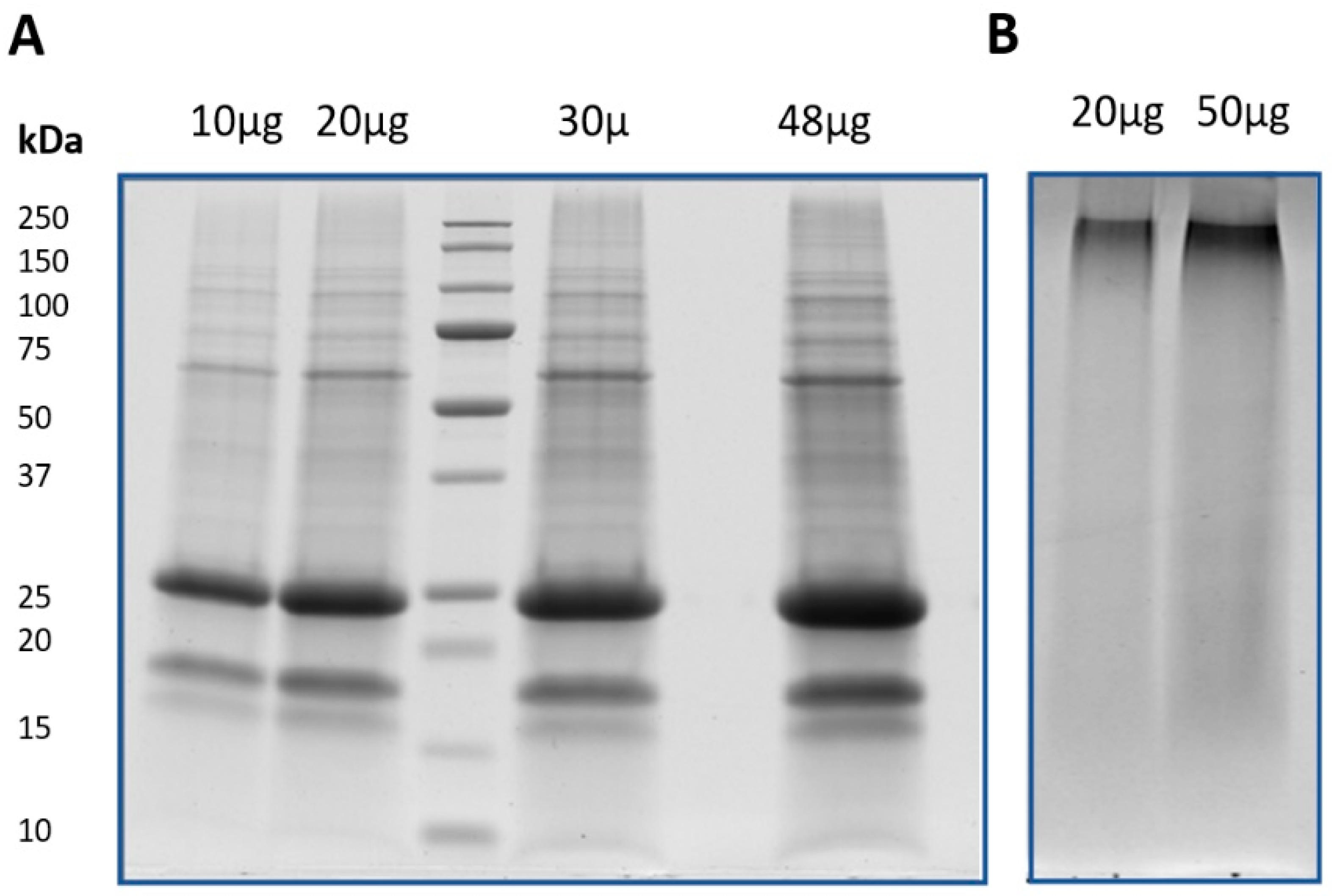 Separations 08 00053 g002 Separations 08 00053 g002
