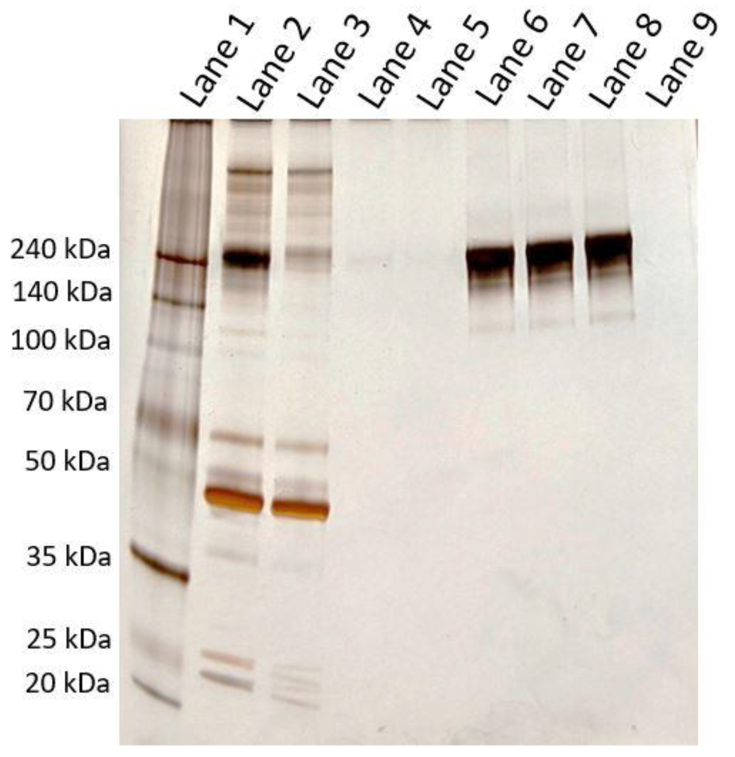 Separations 08 00056 g012