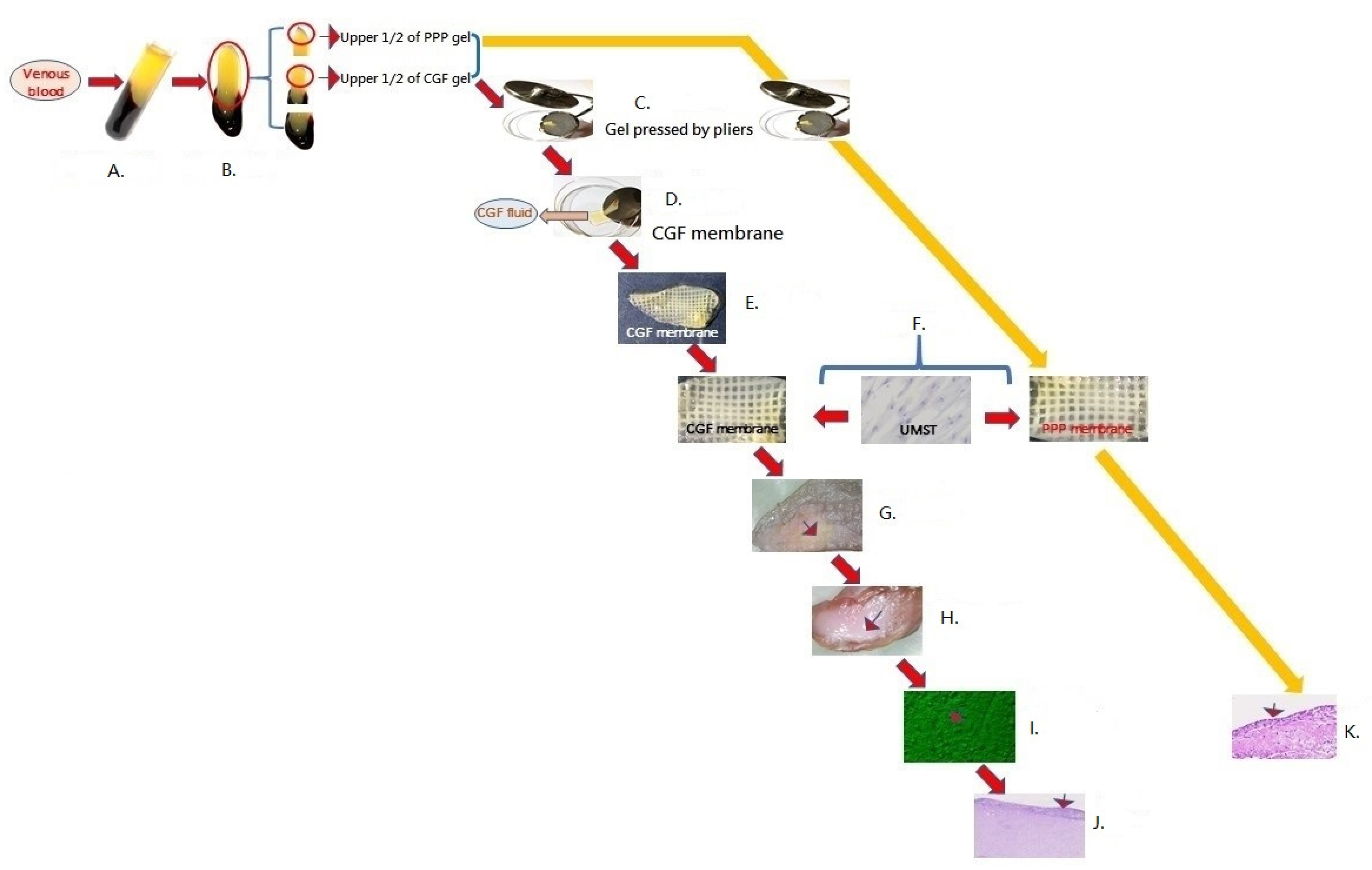 Separations 08 00061 g001