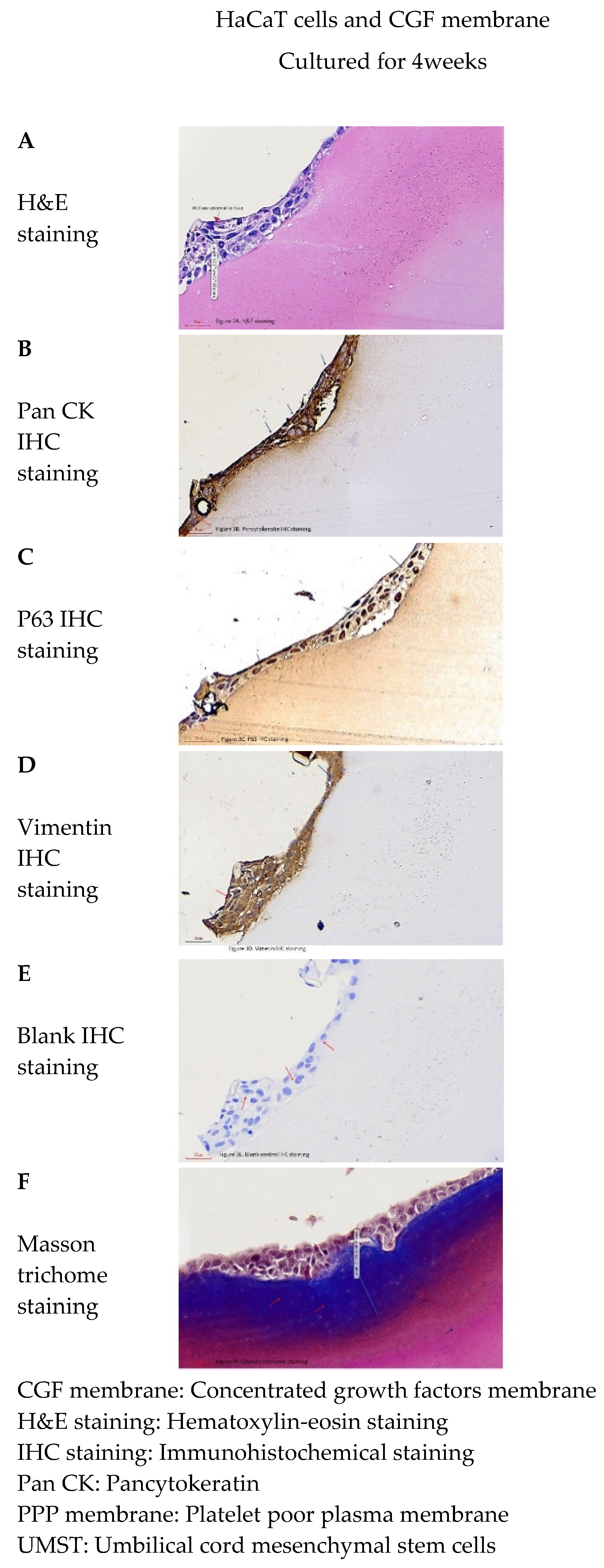 Separations 08 00061 g003