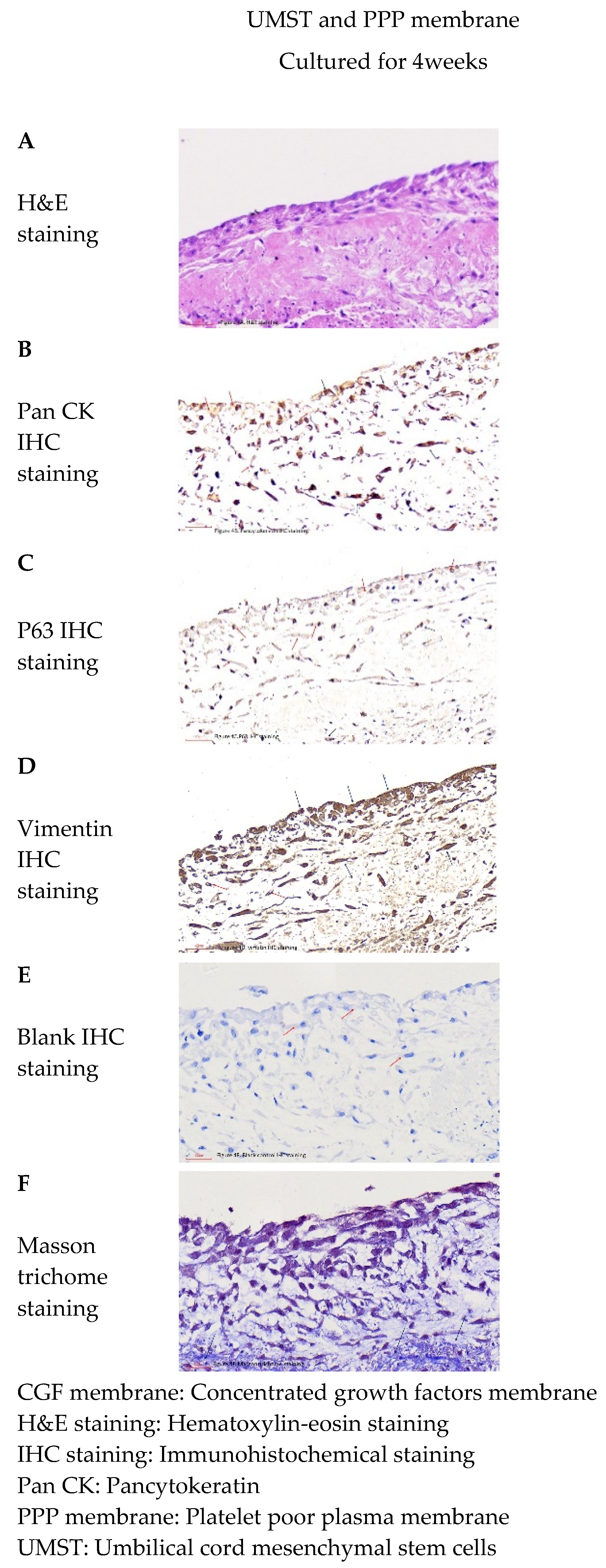 Separations 08 00061 g004