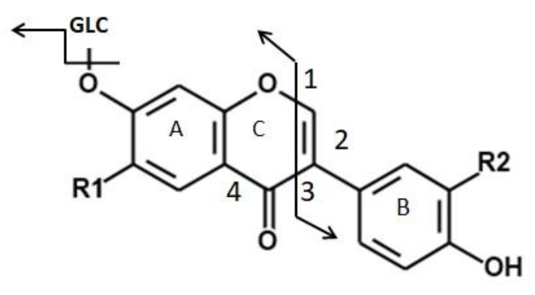 Separations 08 00065 g001