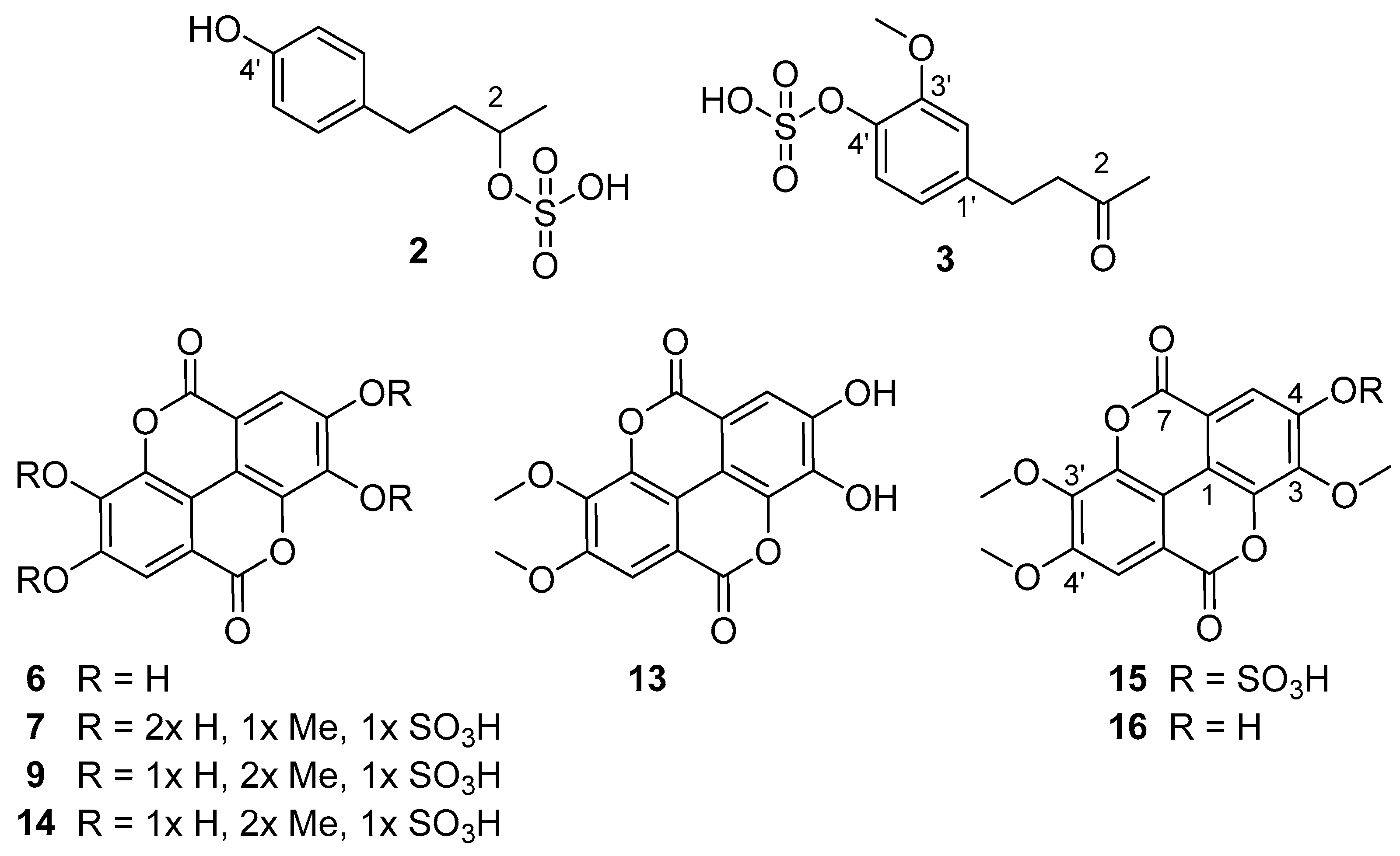 Separations 08 00082 g003