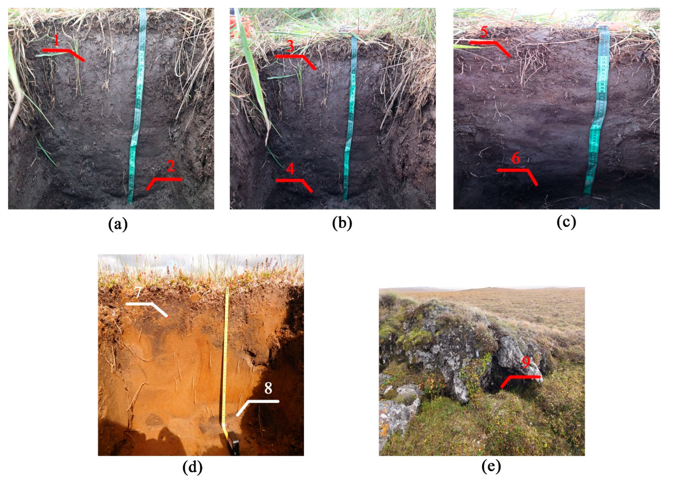 Separations 08 00087 g002