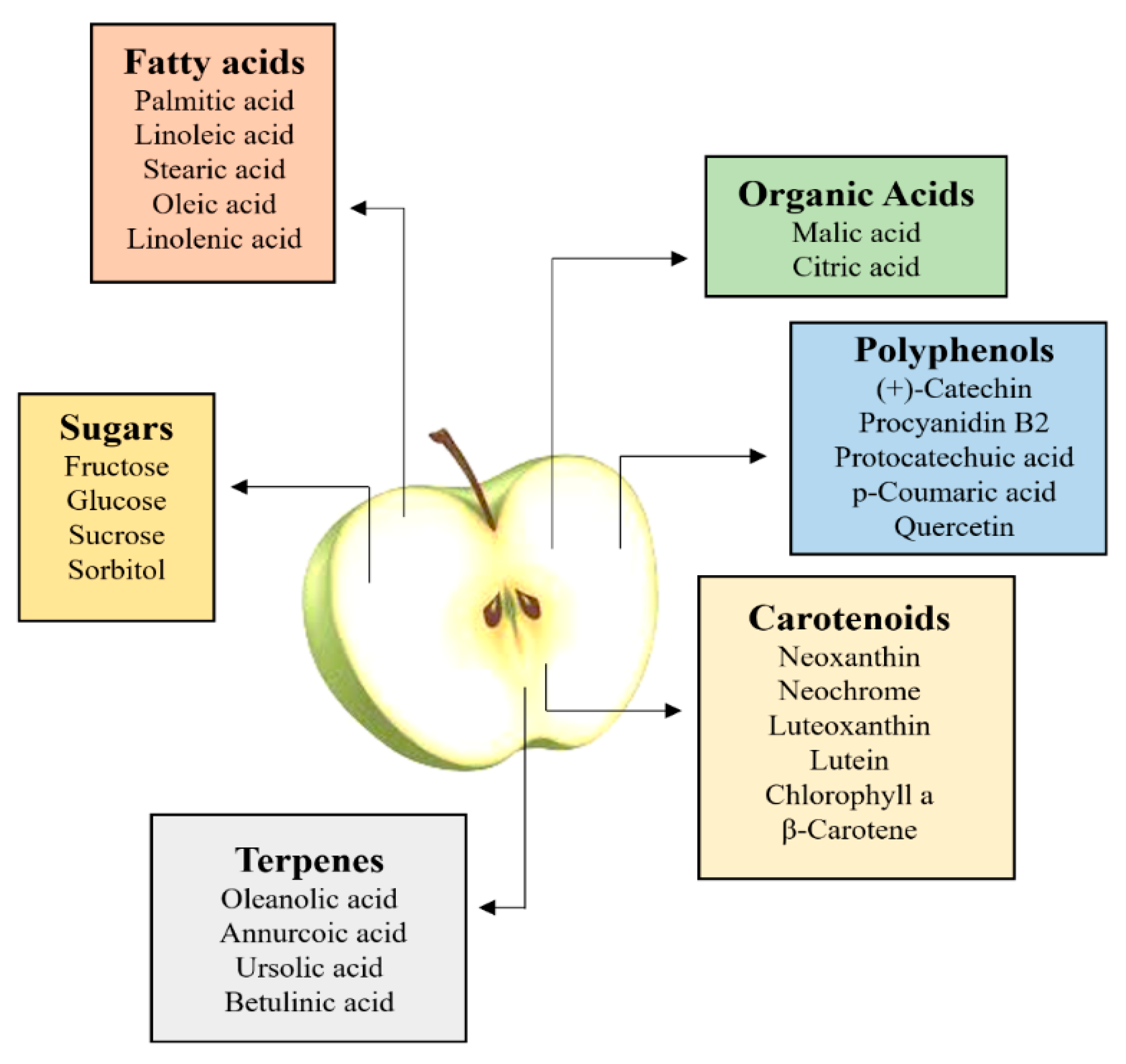 Separations 08 00091 g001