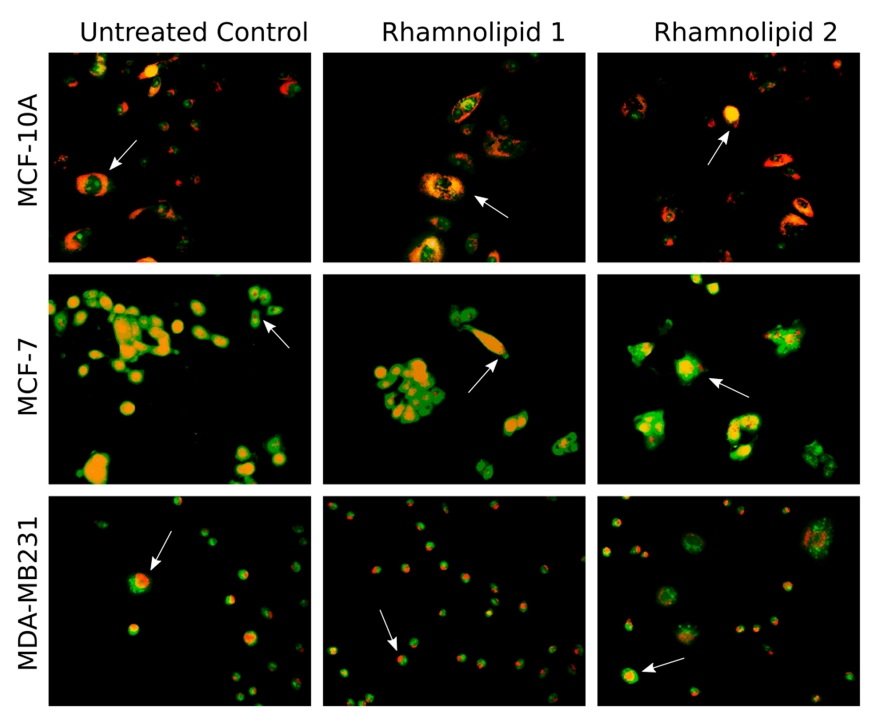 Separations 08 00092 g002 550