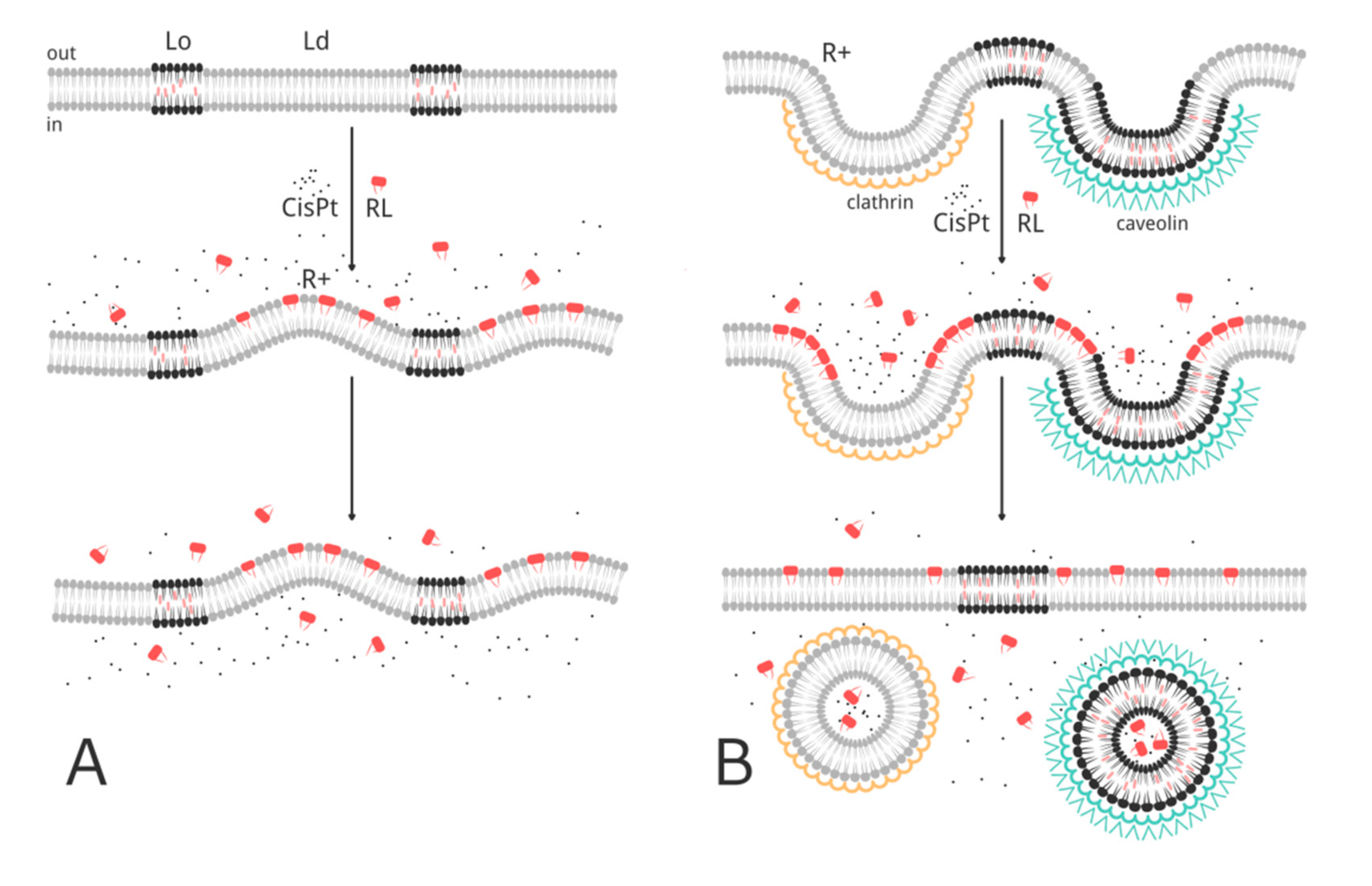 Separations 08 00092 g006 550