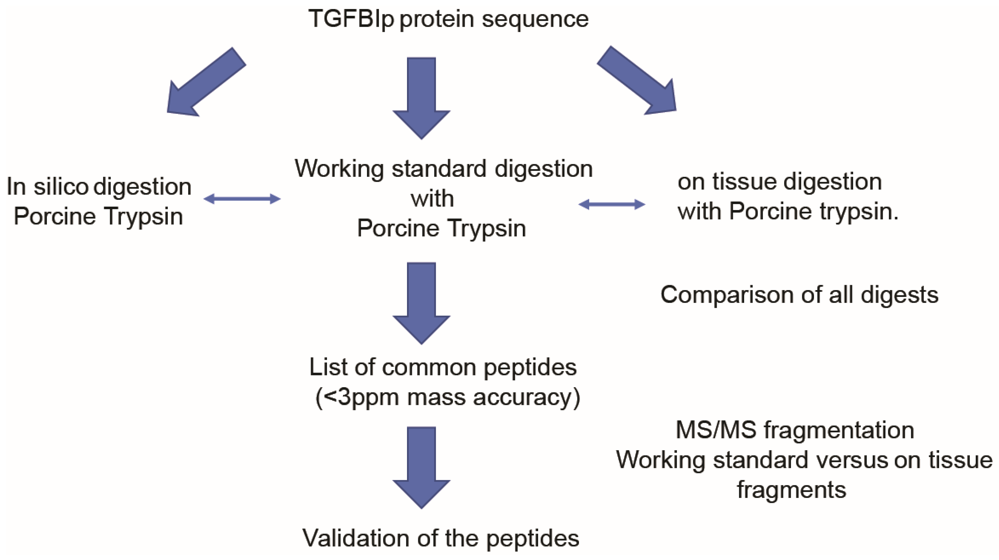 Separations 08 00097 g002