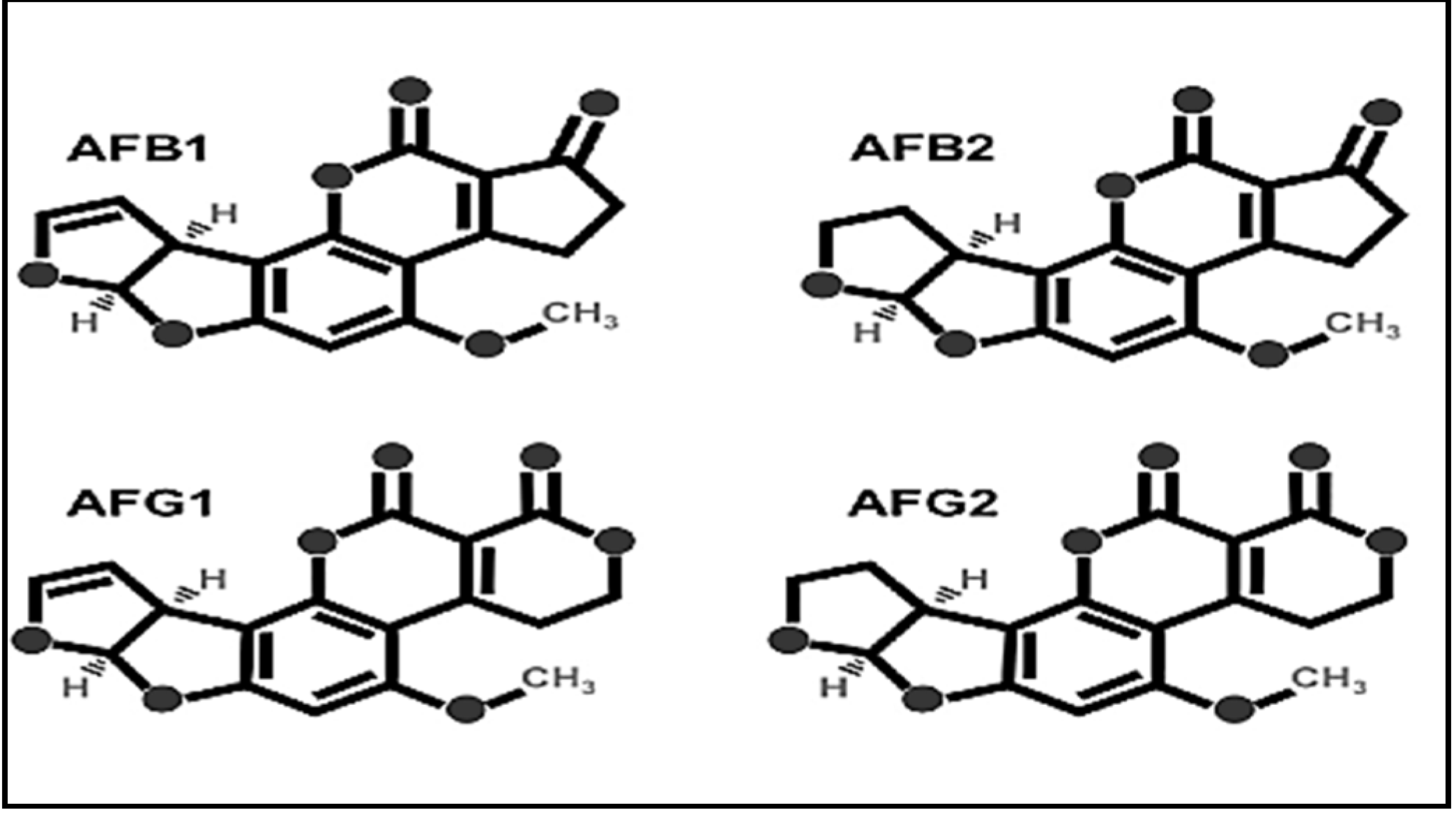 Separations 08 00098 g001 550