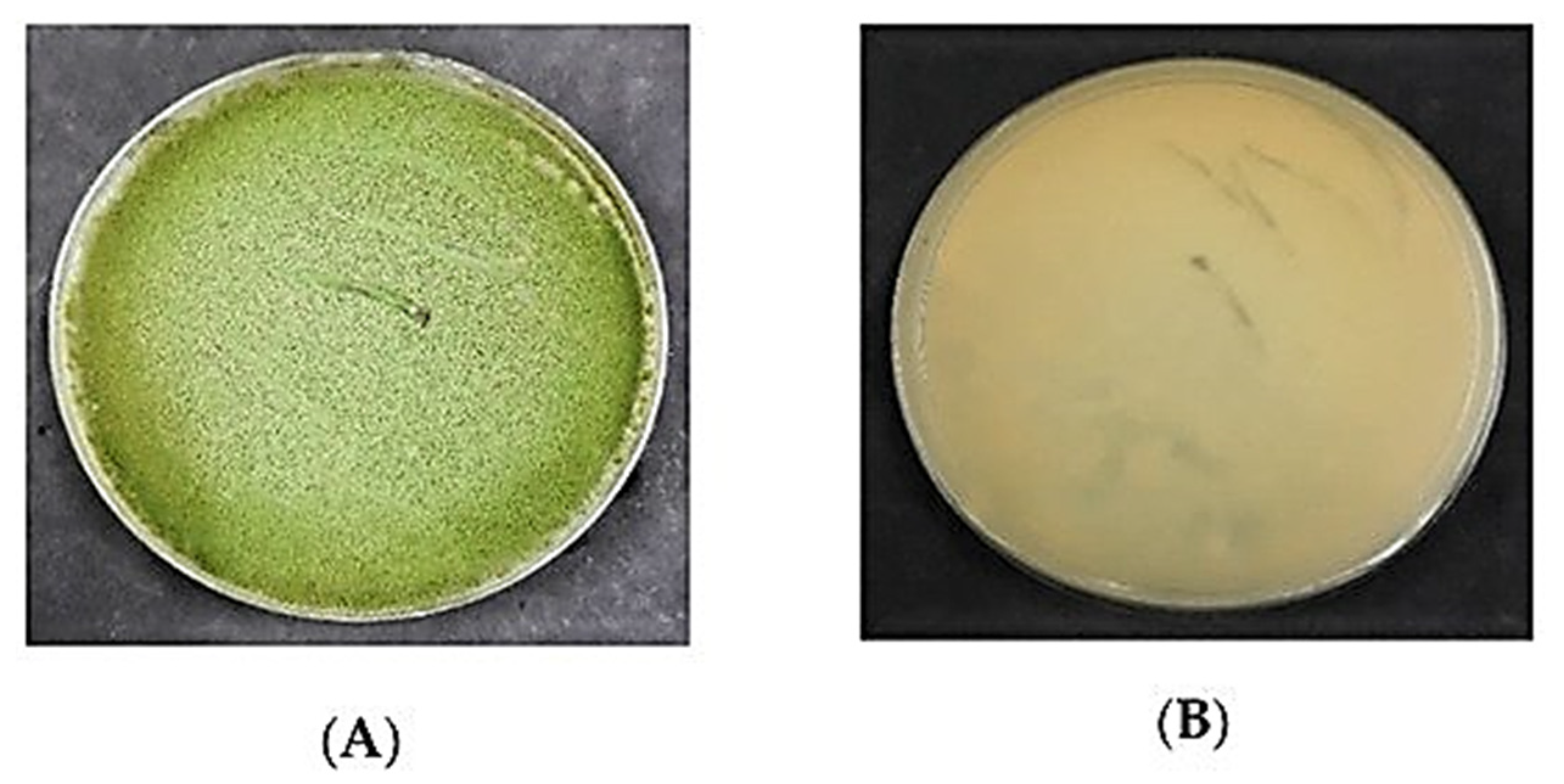 Separations 08 00098 g003 550