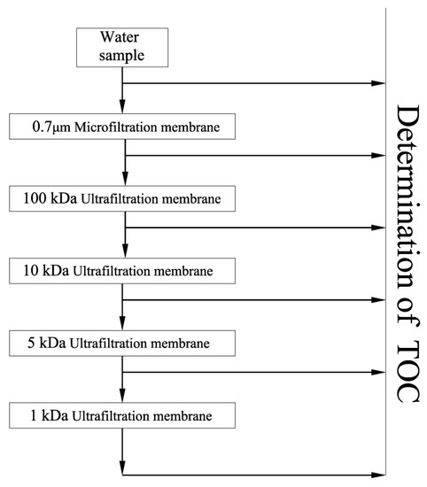 Y History of Mid- and Late Holocene Palaeofloods in the