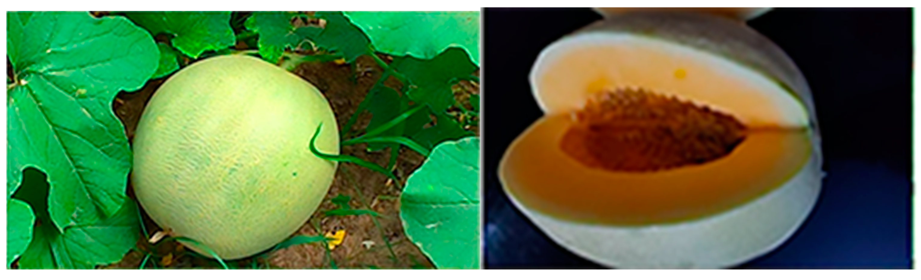 Separations 08 00123 g001