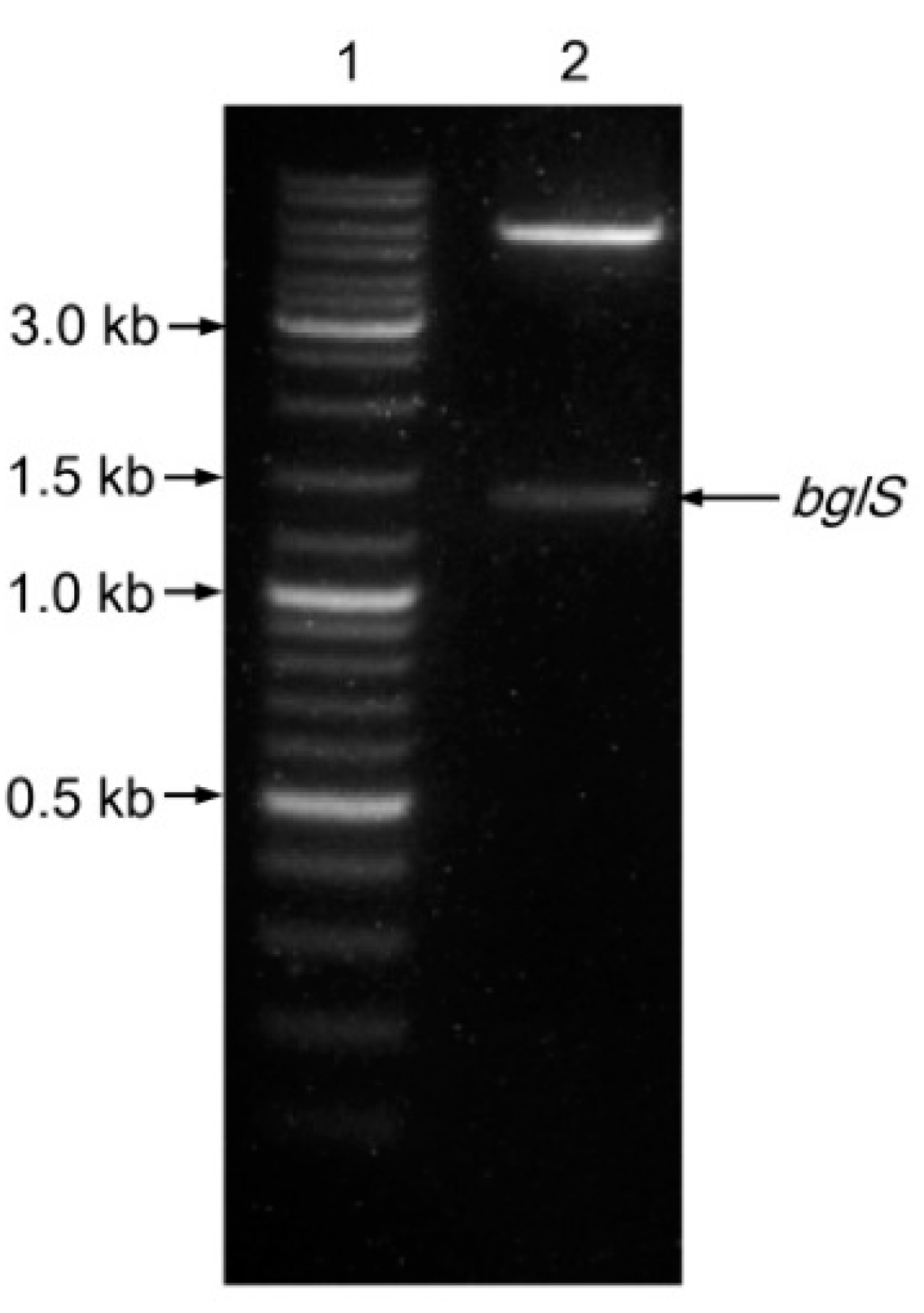 Separations 08 00138 g002 550