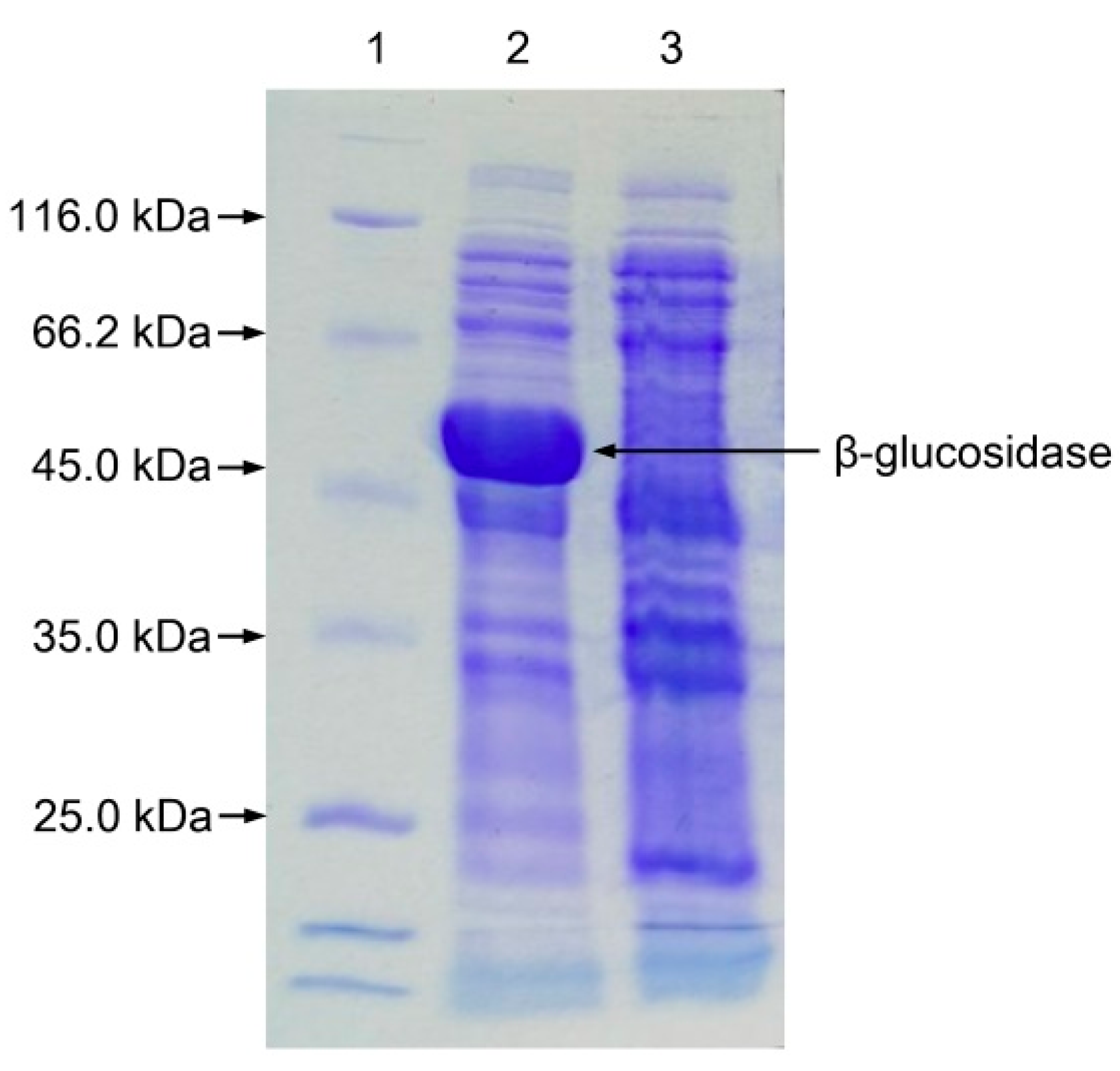 Separations 08 00138 g003 550