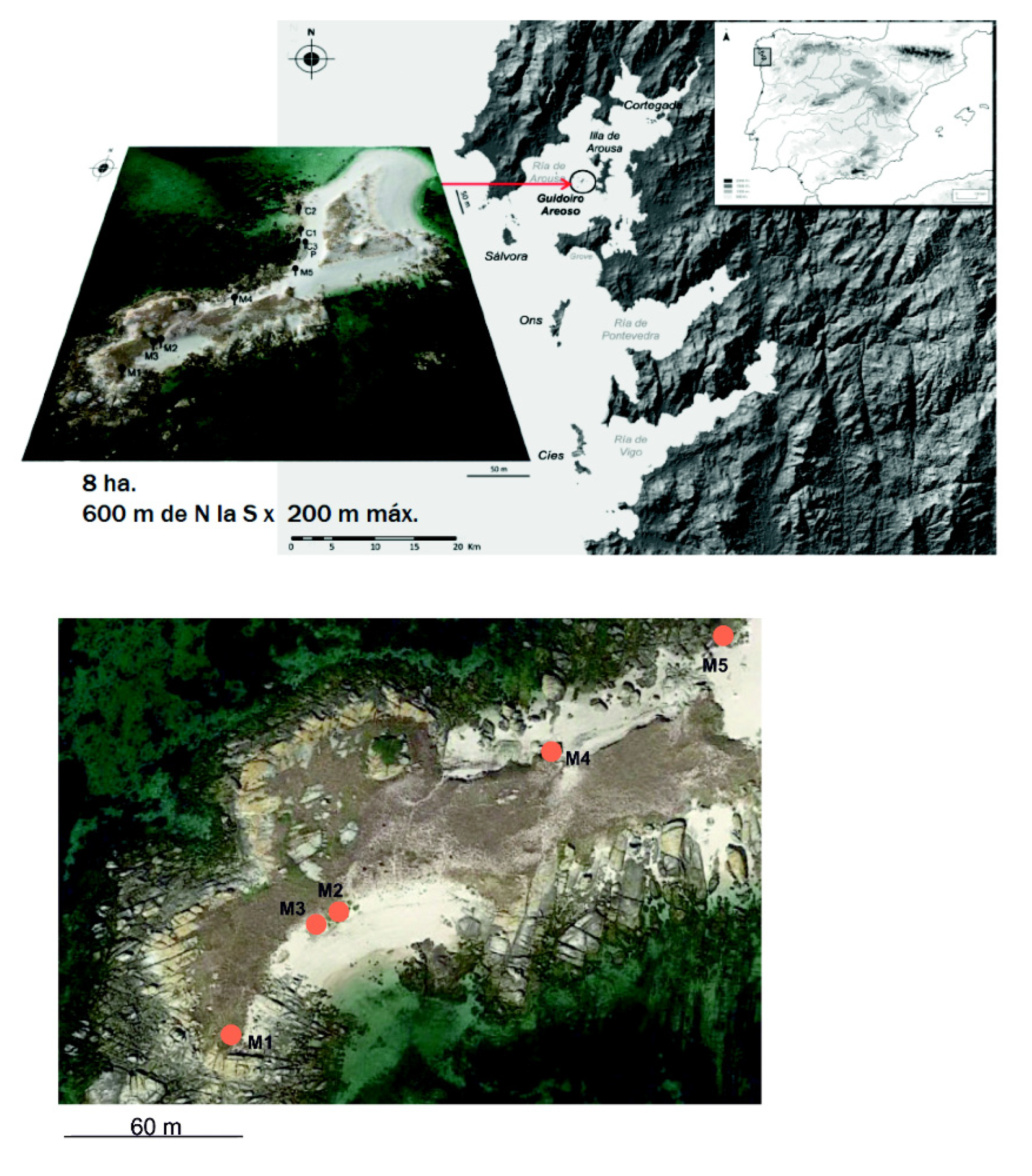Separations 08 00140 g001 550
