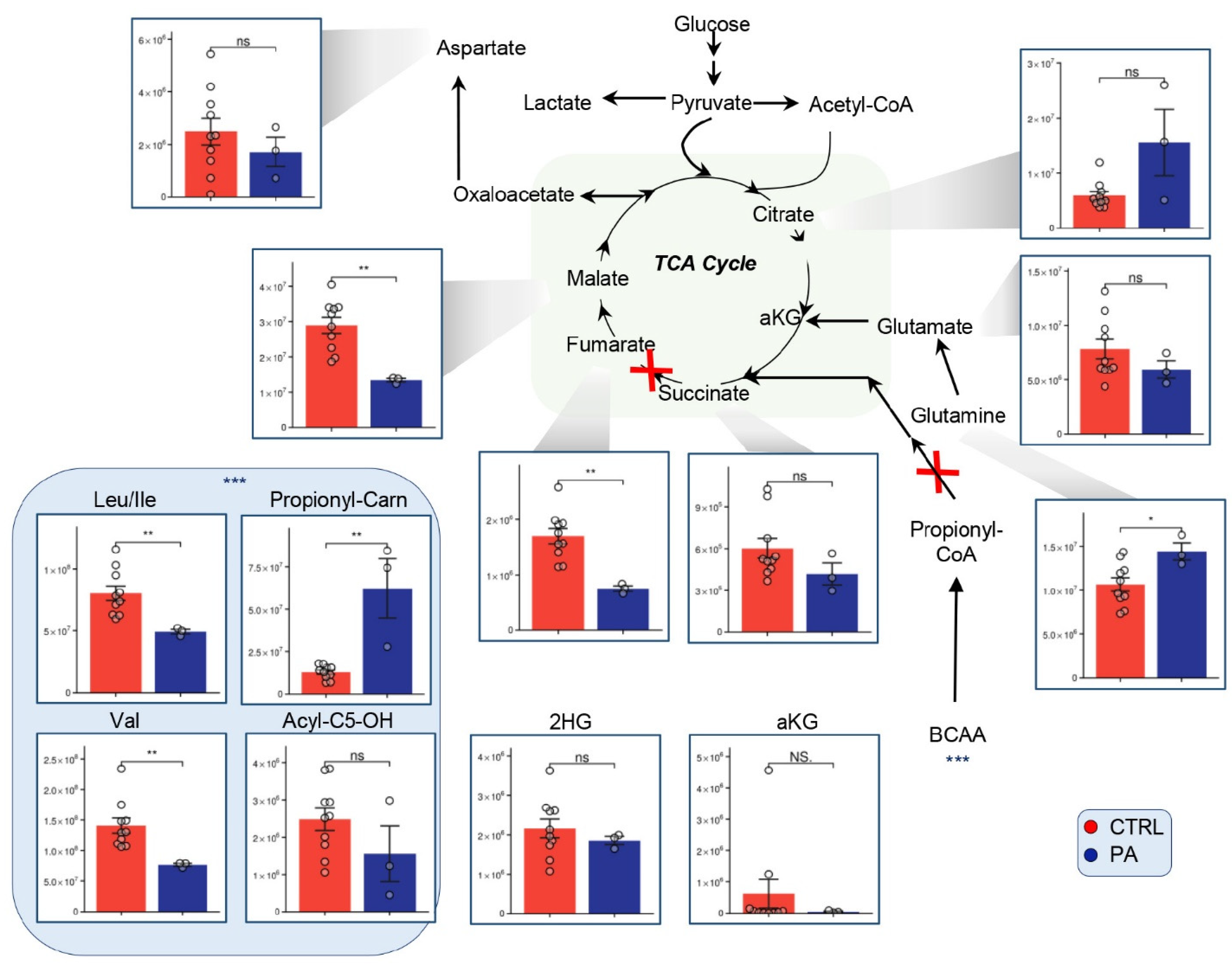 Separations 08 00142 g003 Separations 08 00142 g003
