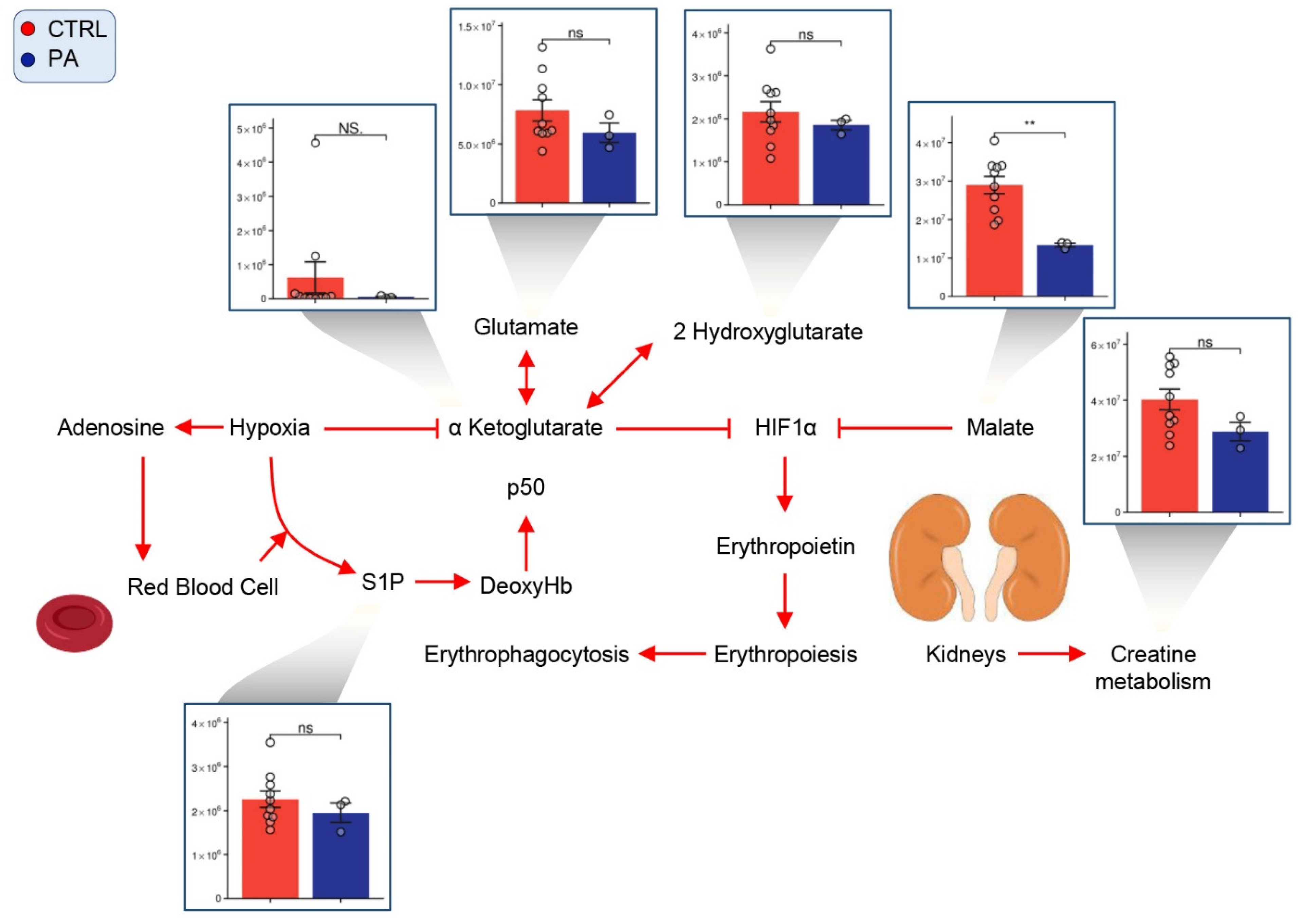 Separations 08 00142 g006 Separations 08 00142 g006