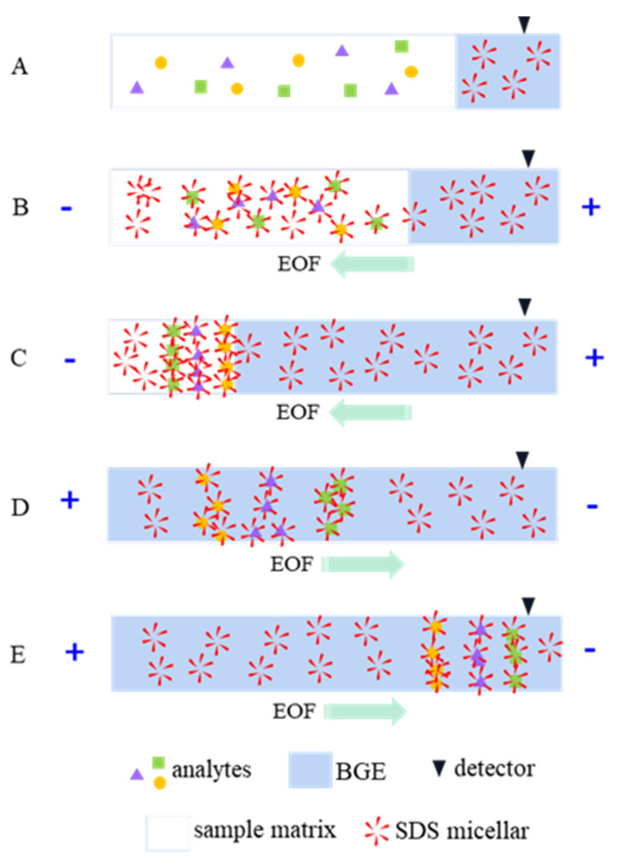 Separations 08 00147 g006 550
