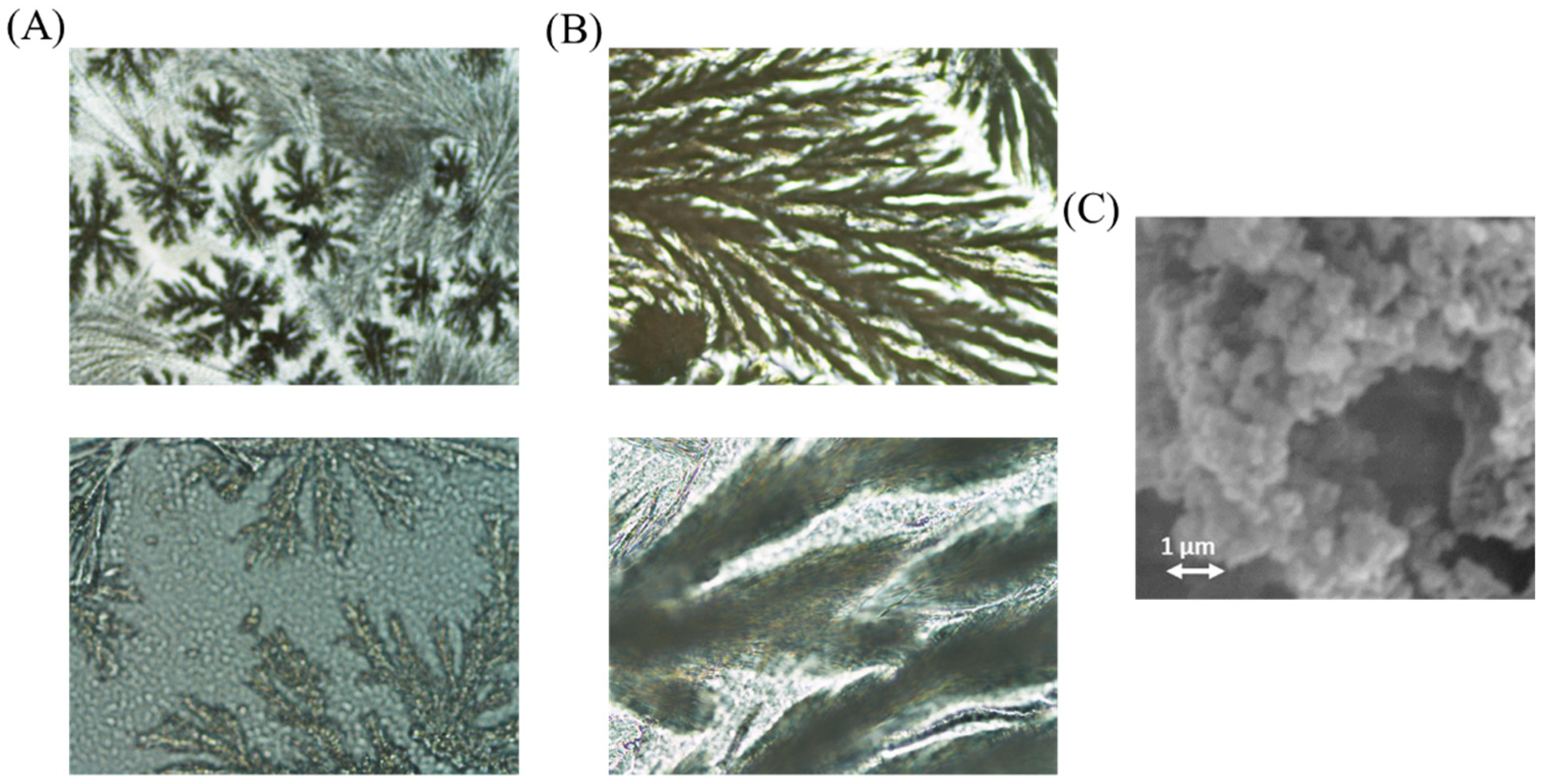 Separations 08 00149 g006 550