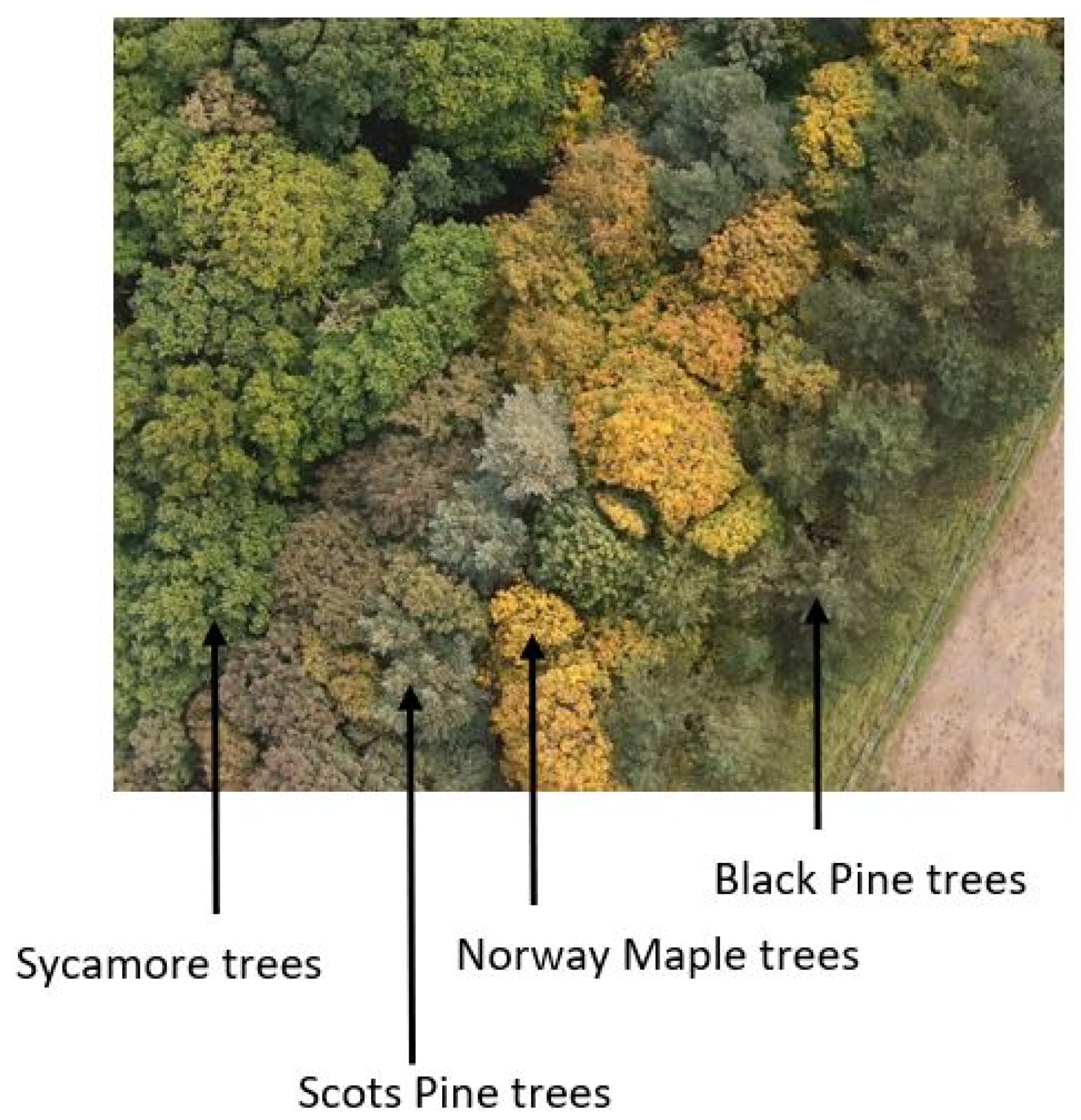 Separations 08 00160 g003 550