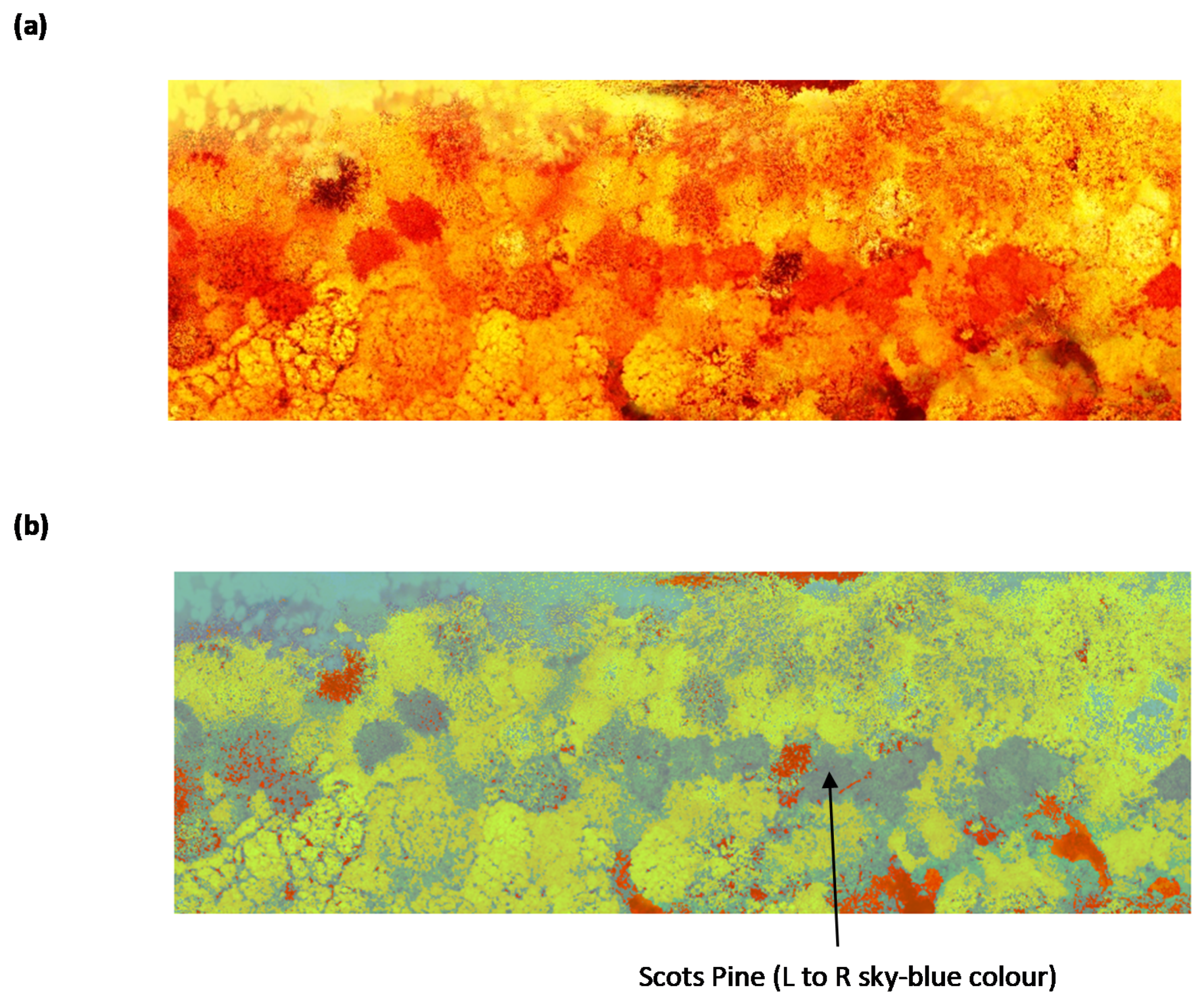 Separations 08 00160 g007 550