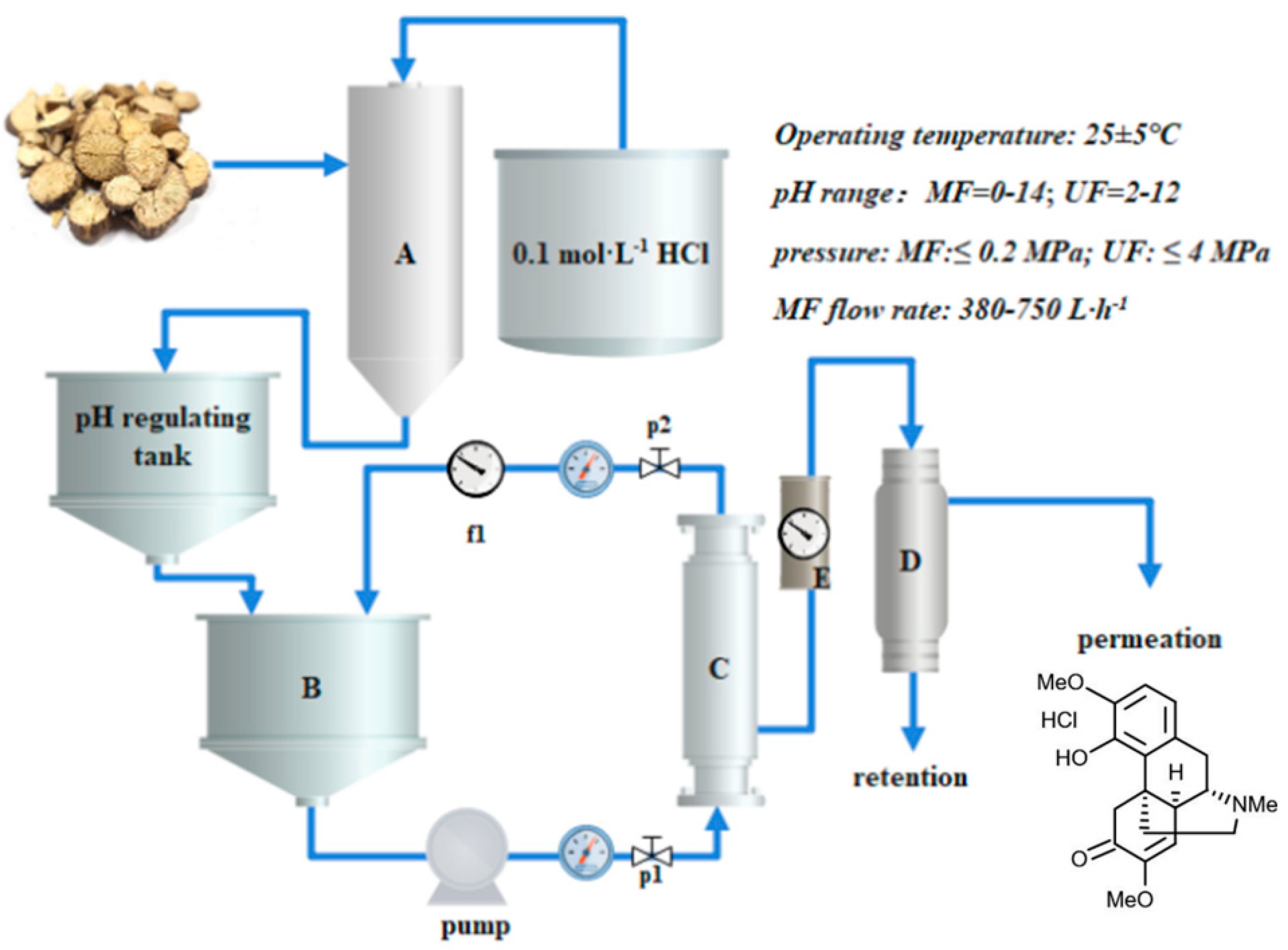 X Studies on the Separation and Purification of the Caulis