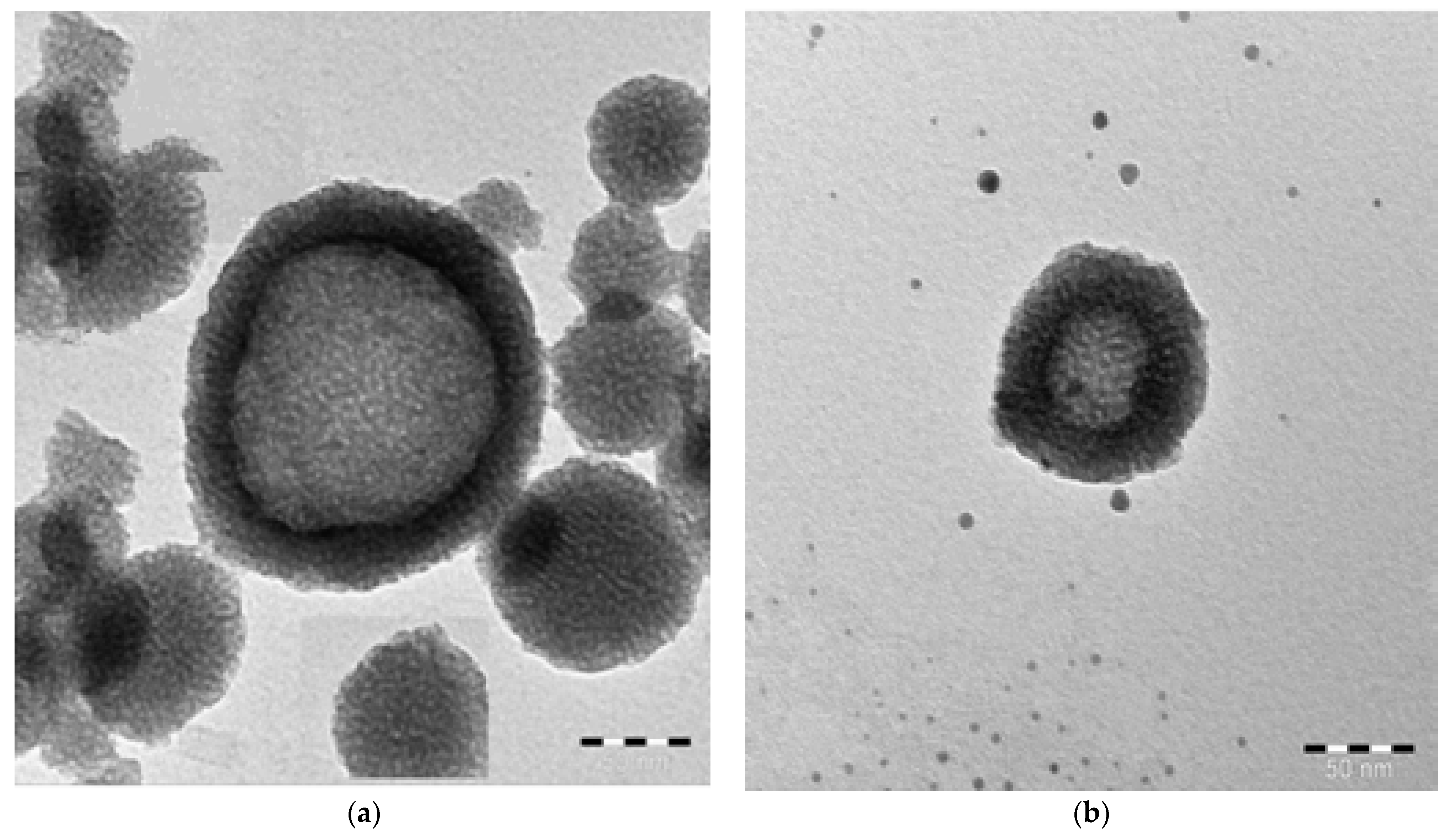 Separations 08 00224 g003 550