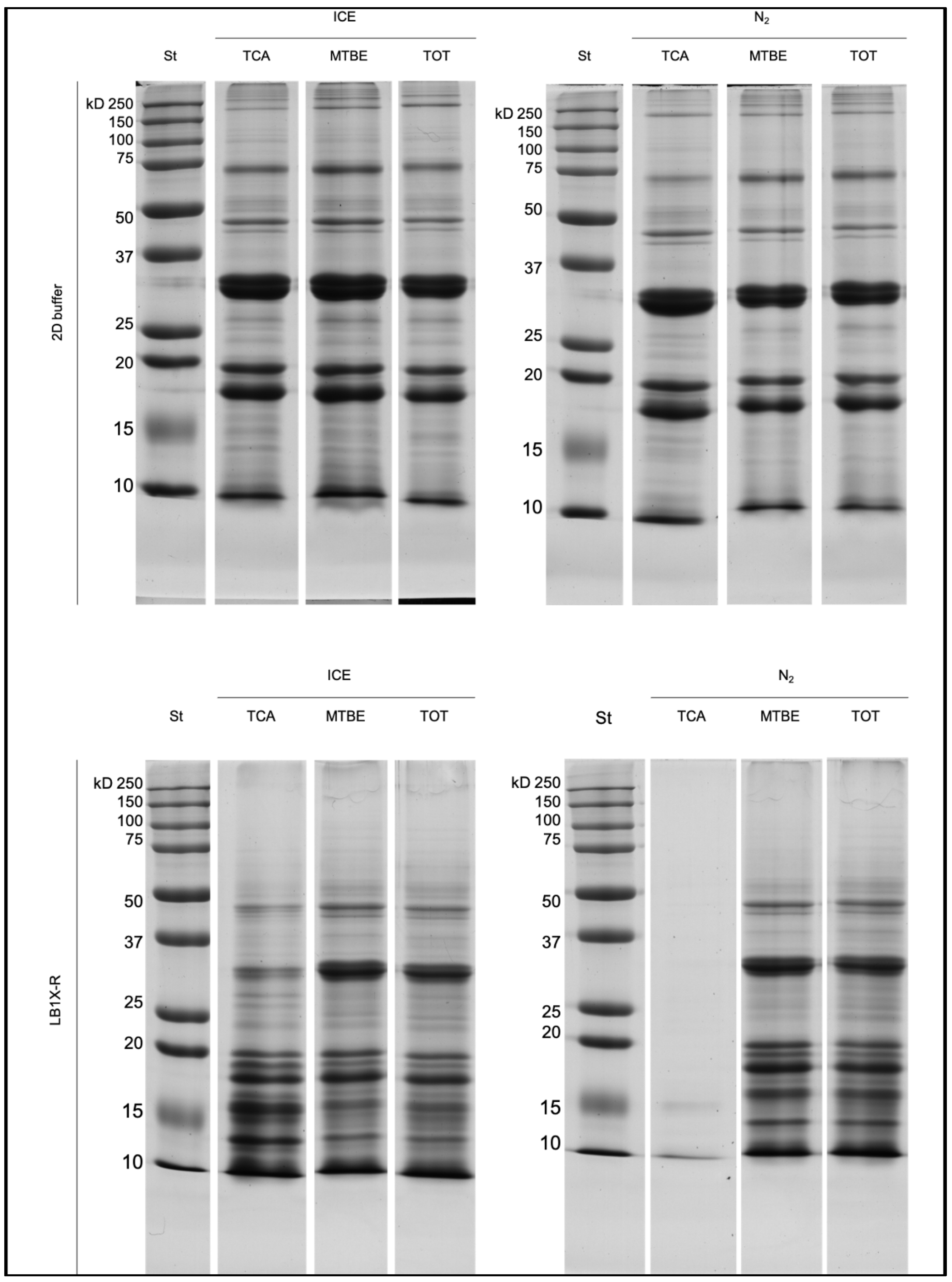 Separations 08 00231 g002 550