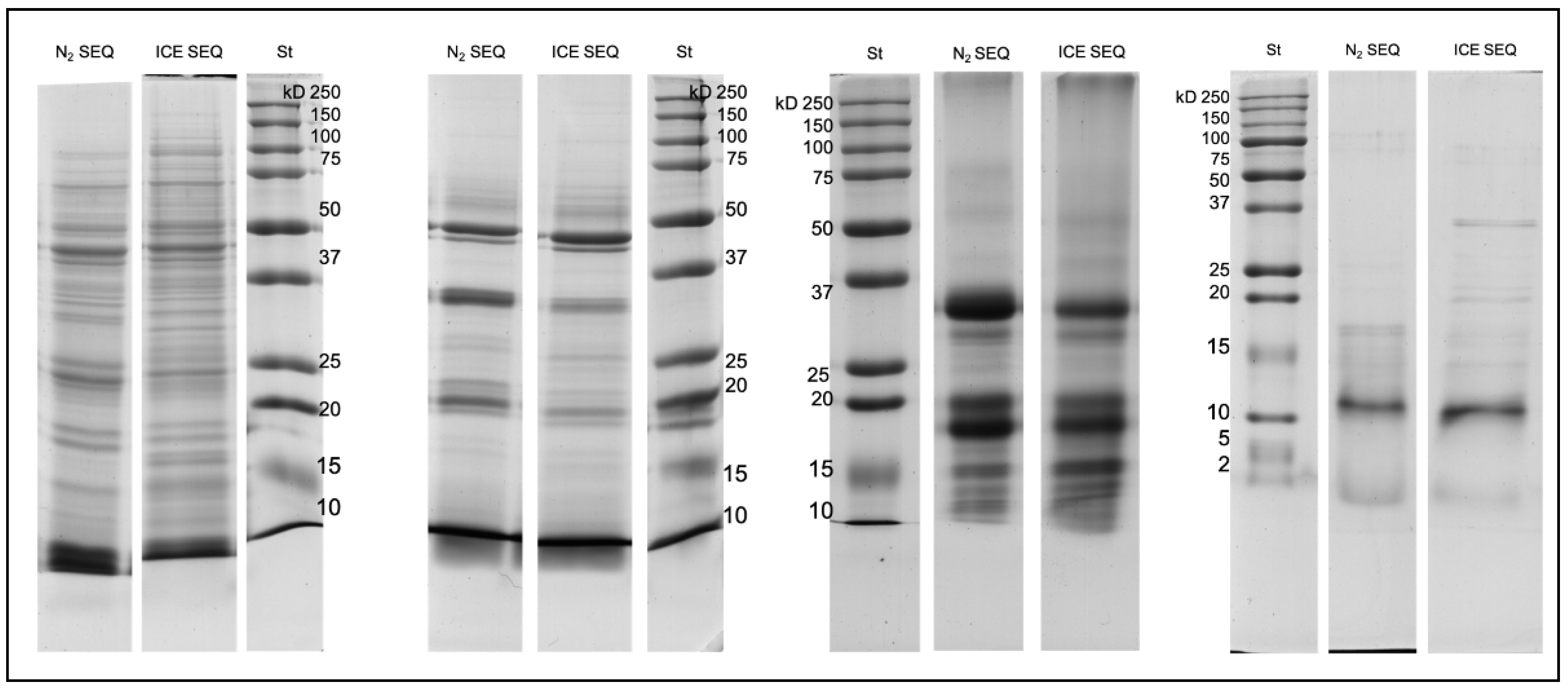 Separations 08 00231 g004 550