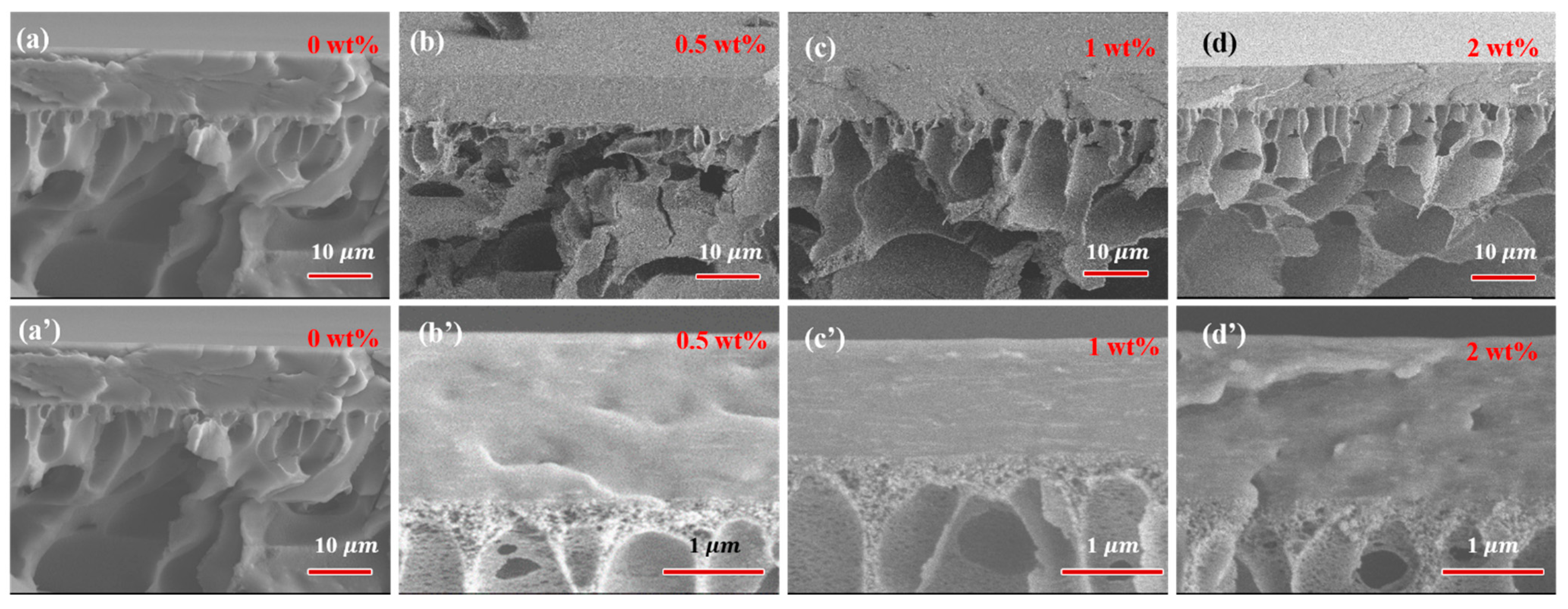 Separations 09 00026 g006 550