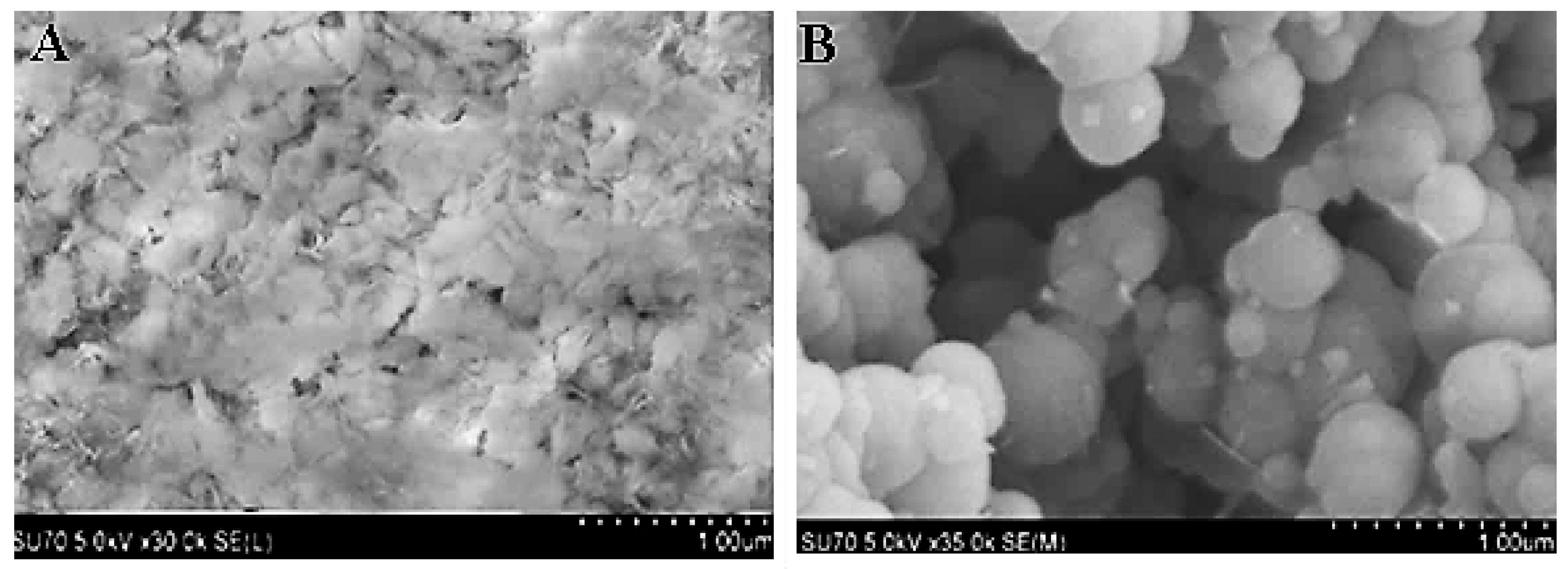 Separations 09 00055 g002