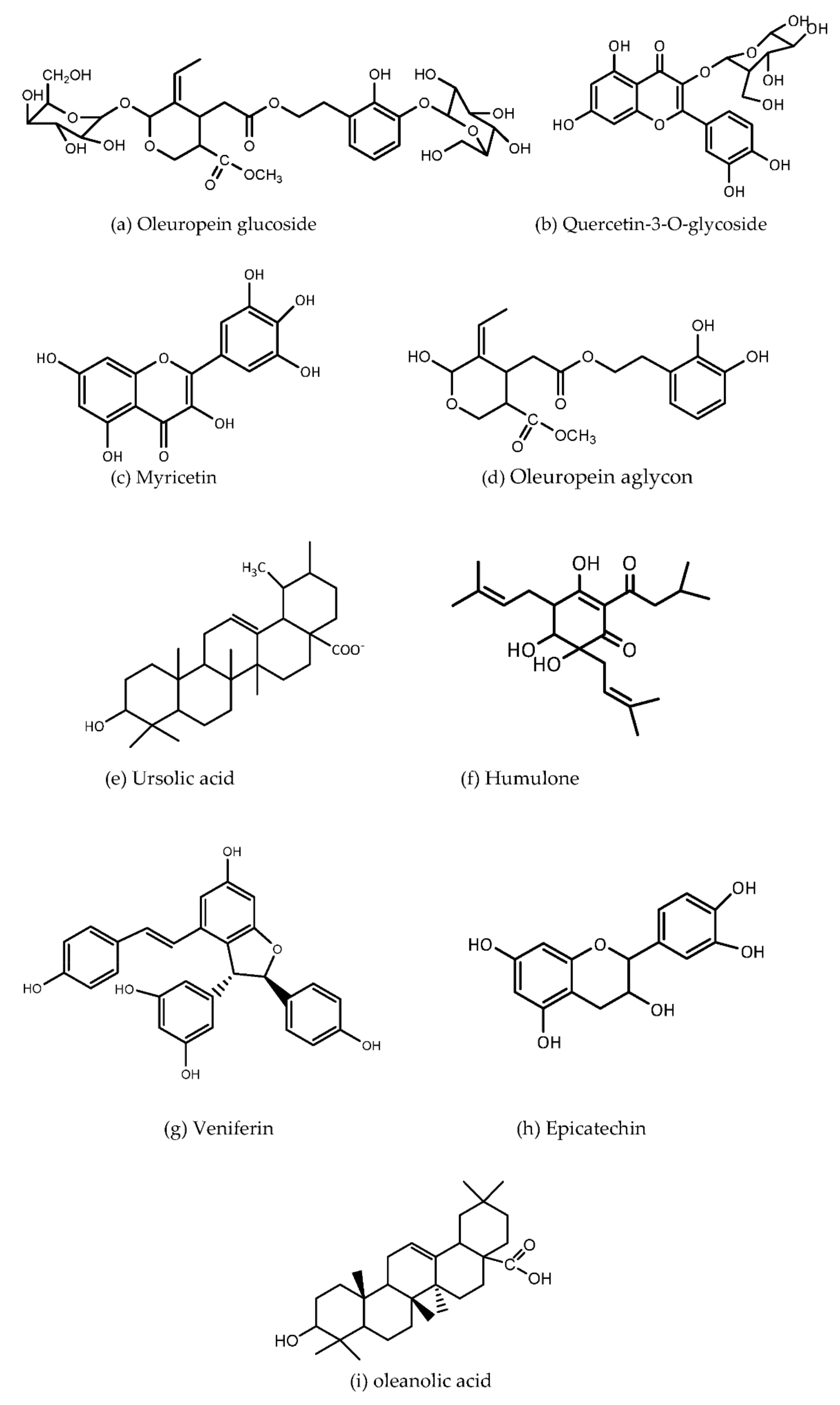Separations 09 00075 g003