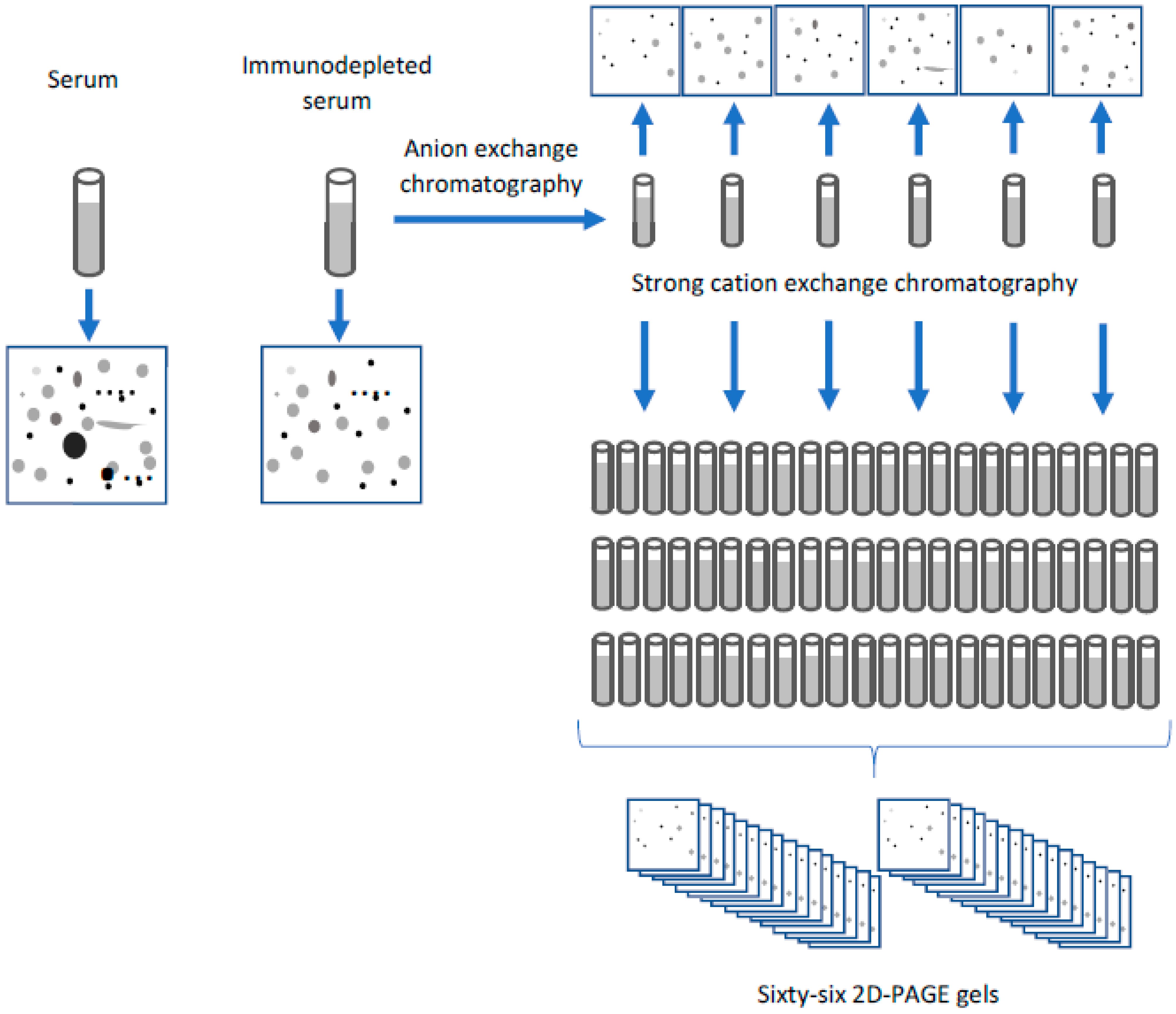 Separations 09 00089 g002