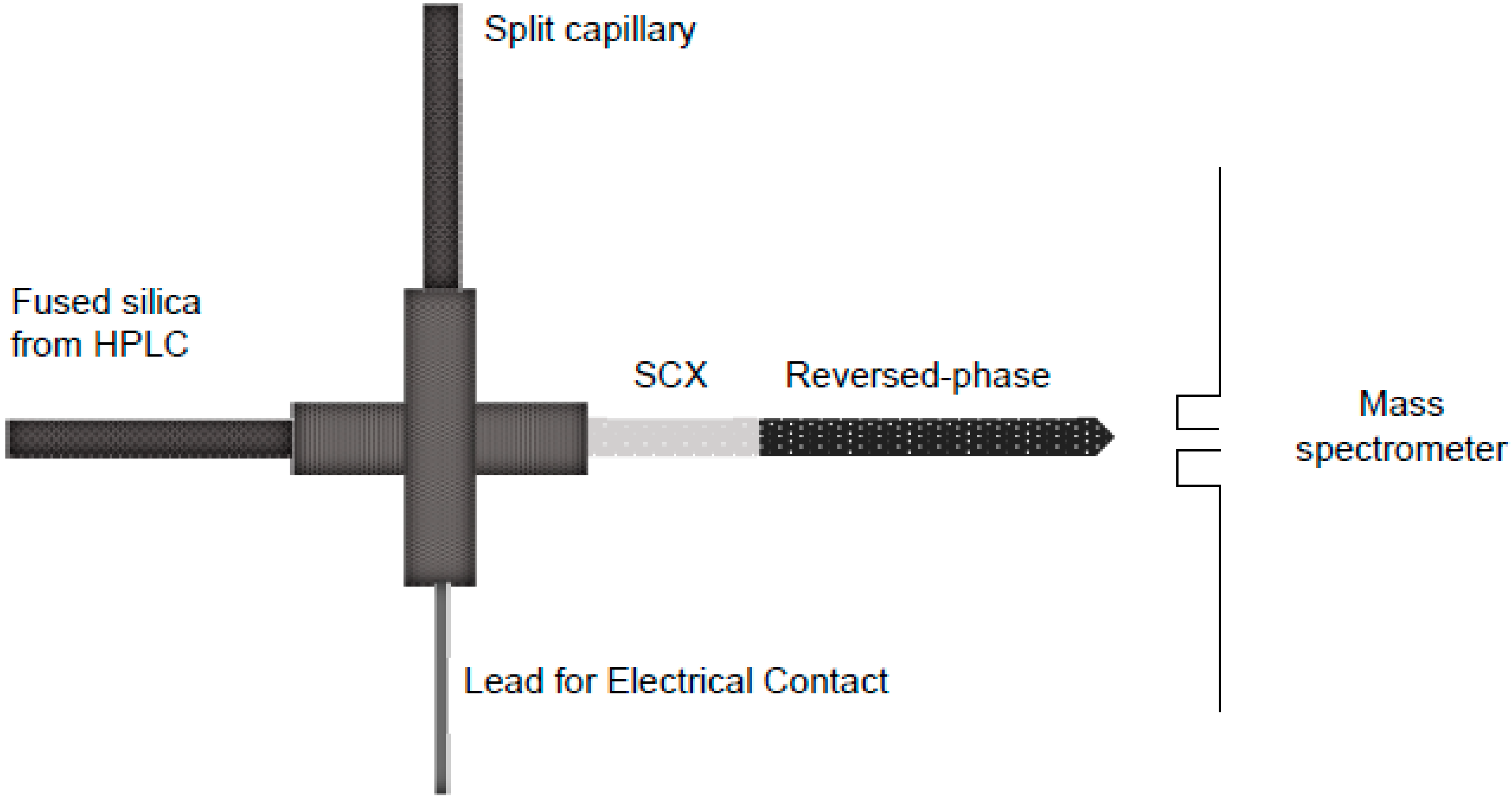 Separations 09 00089 g003