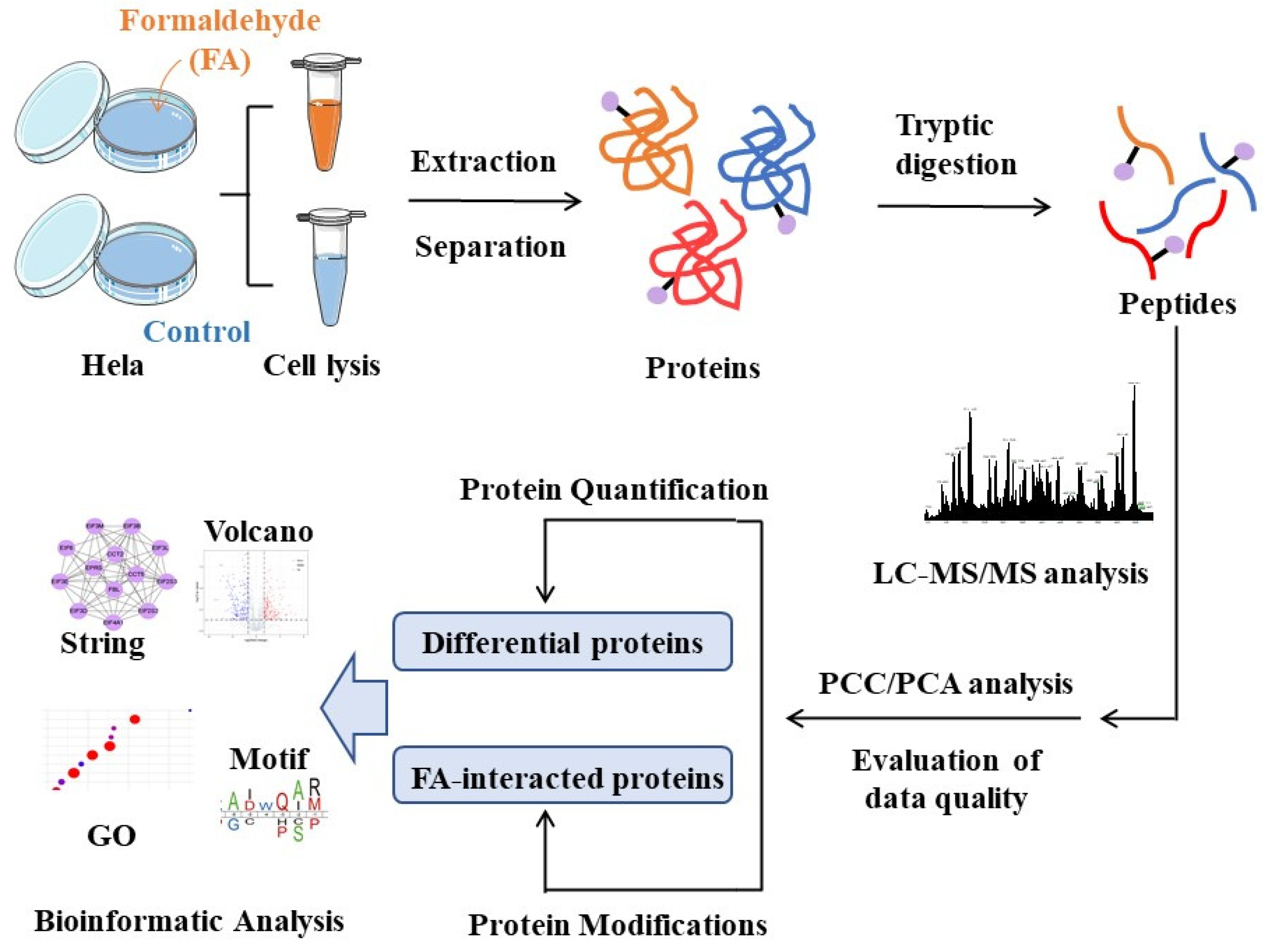 Separations 09 00112 g001