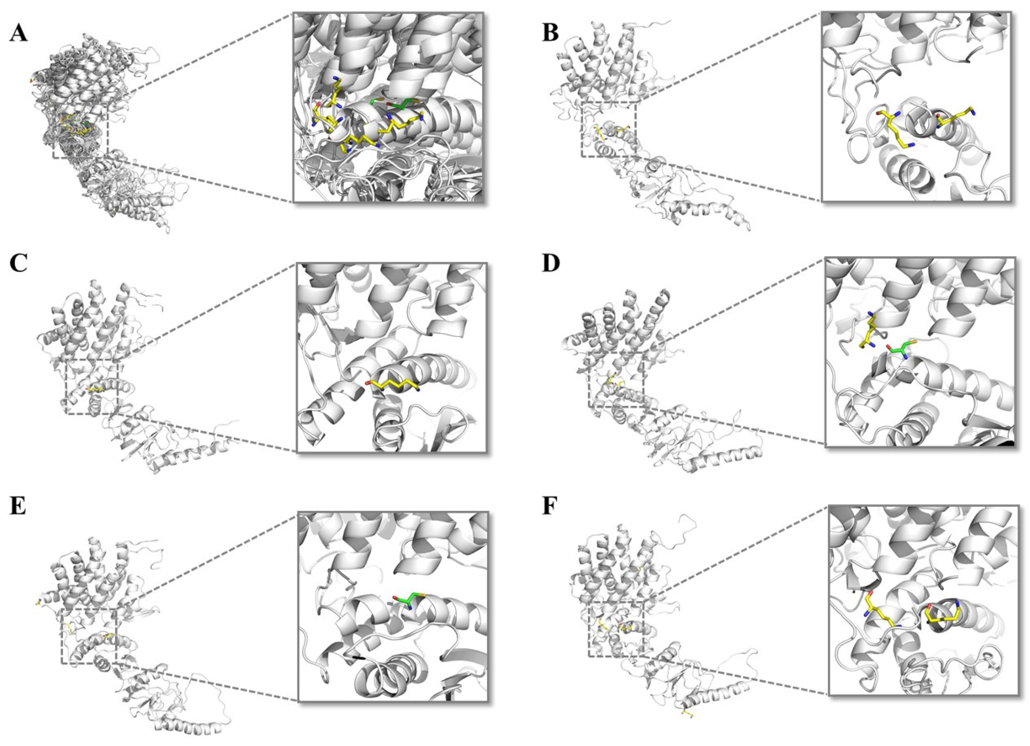 Separations 09 00112 g005