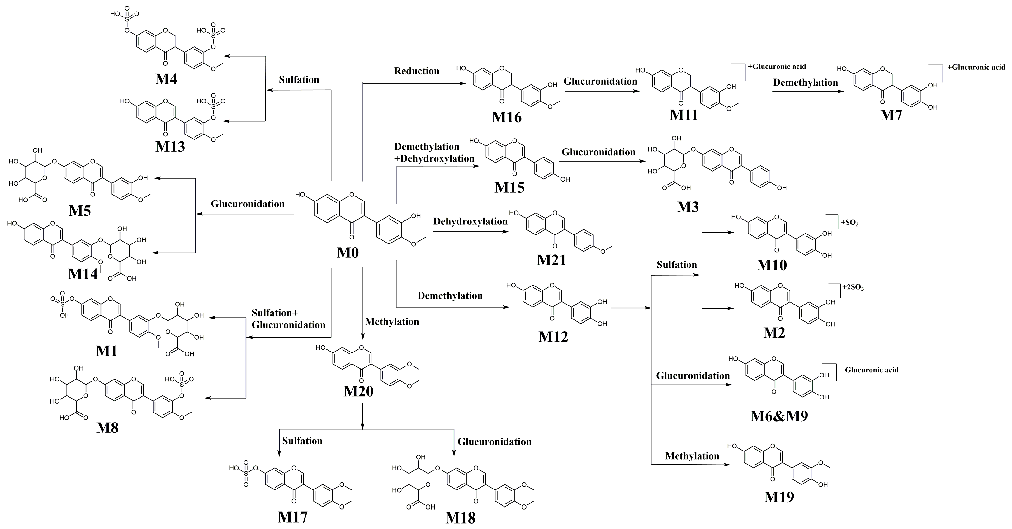 Separations 09 00115 g004 550
