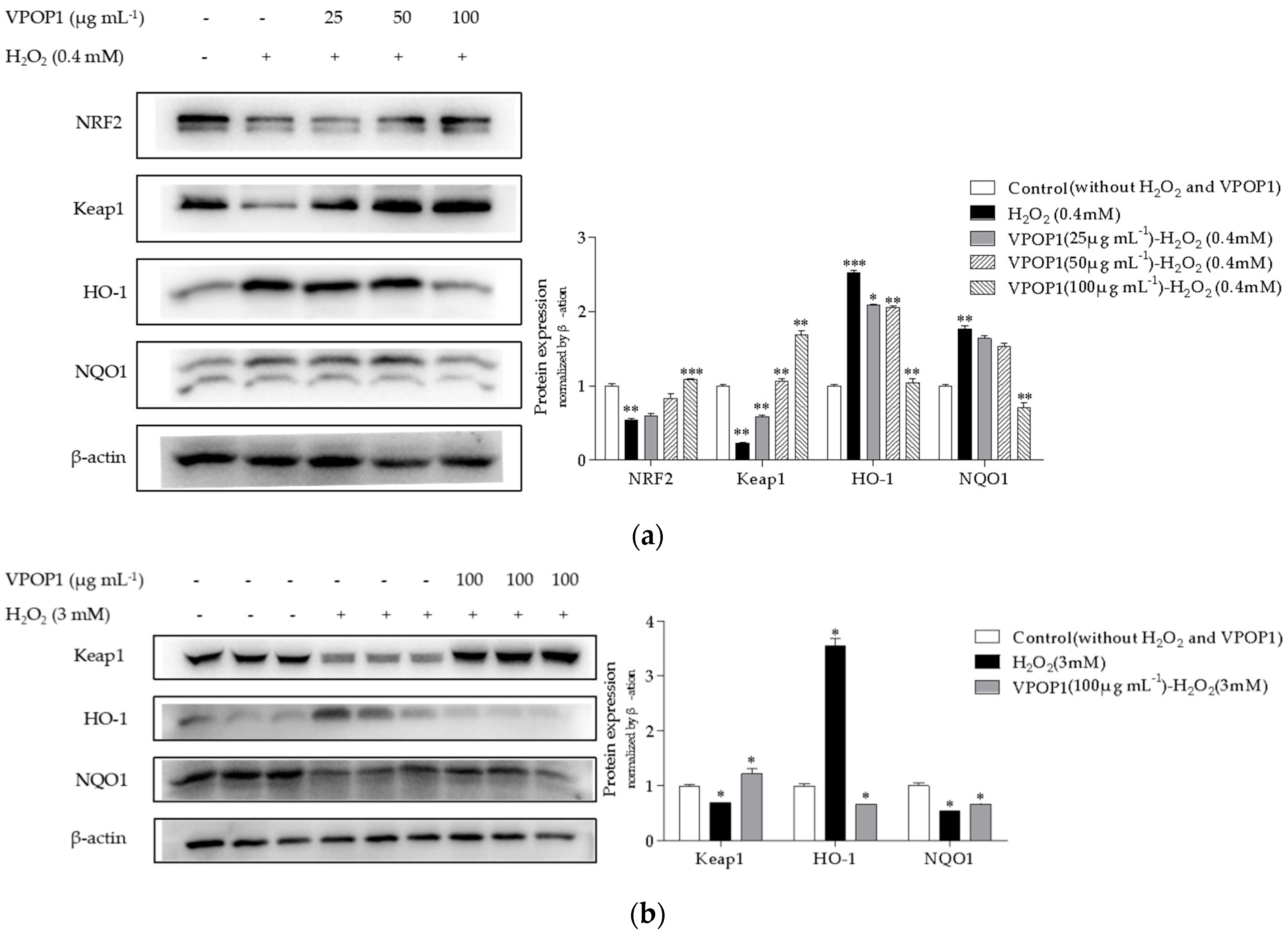 Separations 09 00128 g003 550