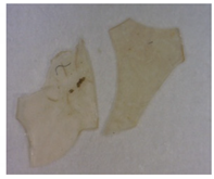 Separations 09 00131 i004