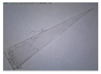 Separations 09 00131 i008