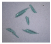 Separations 09 00131 i017