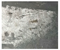 Separations 09 00131 i019