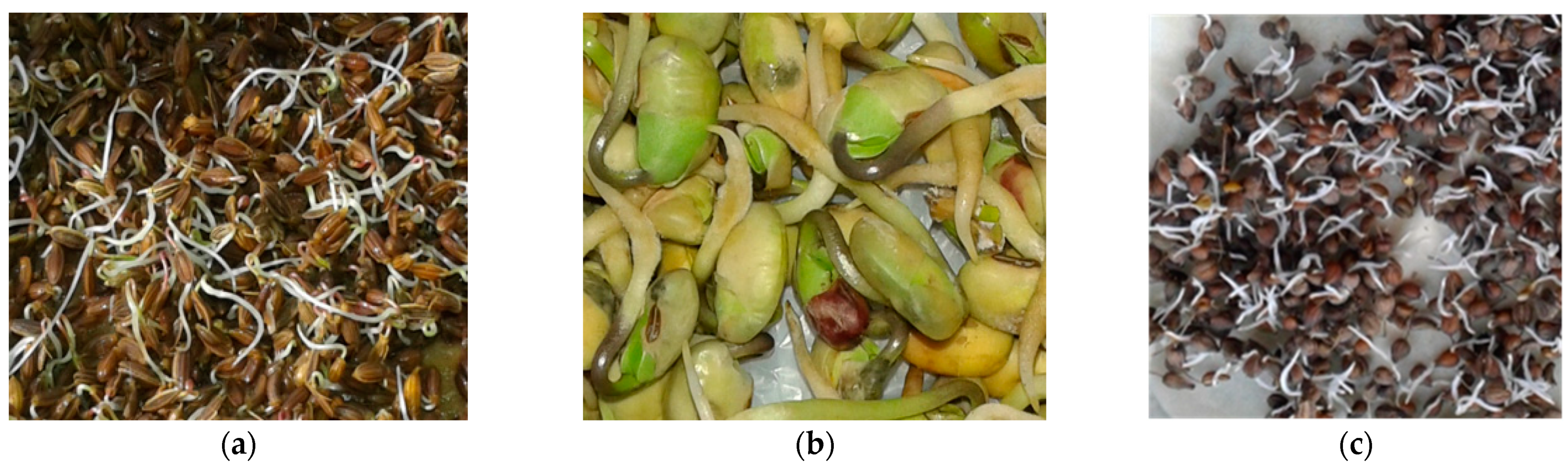 Separations 09 00152 g001